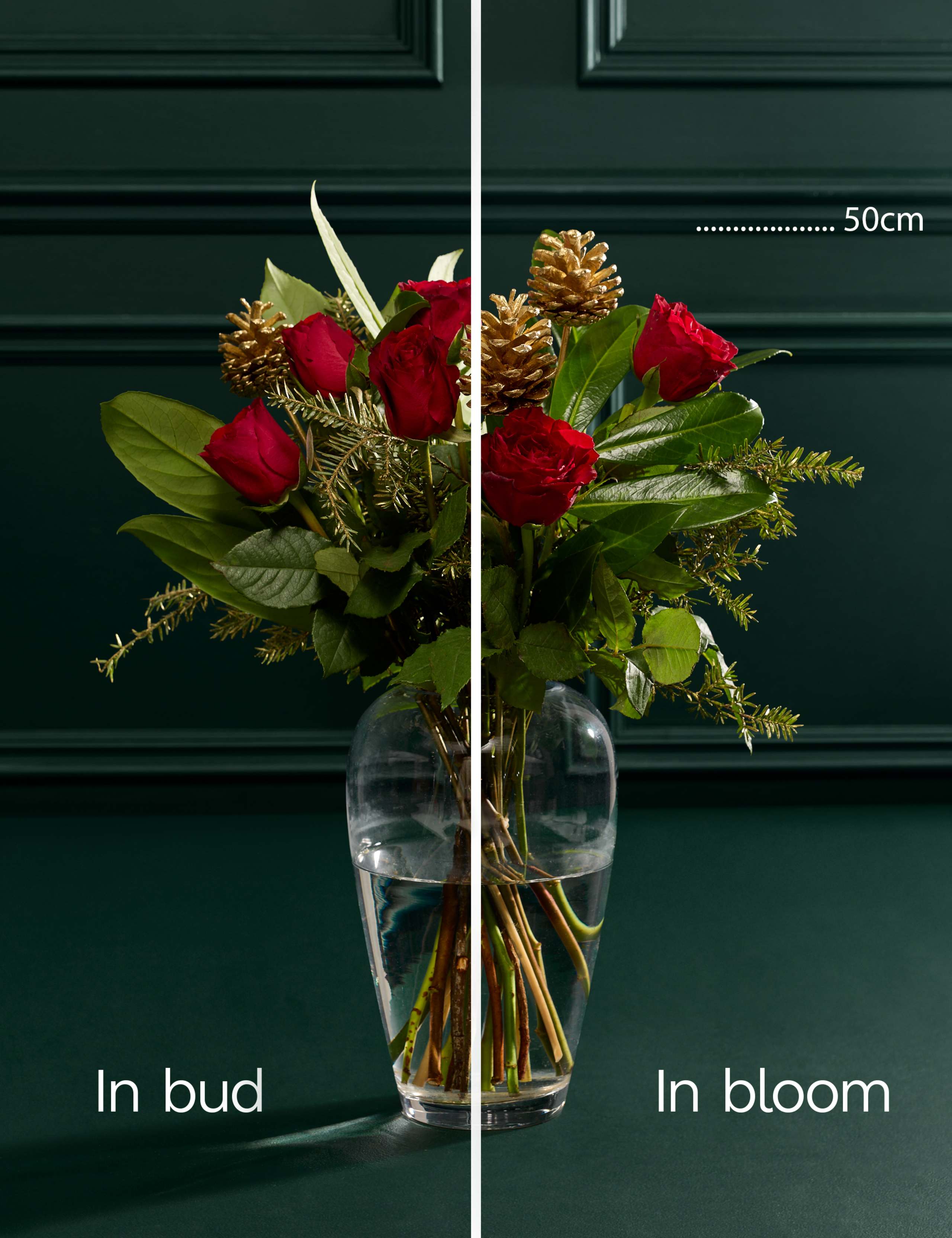 Red Rose & Pine Cone Bouquet 5 of 5