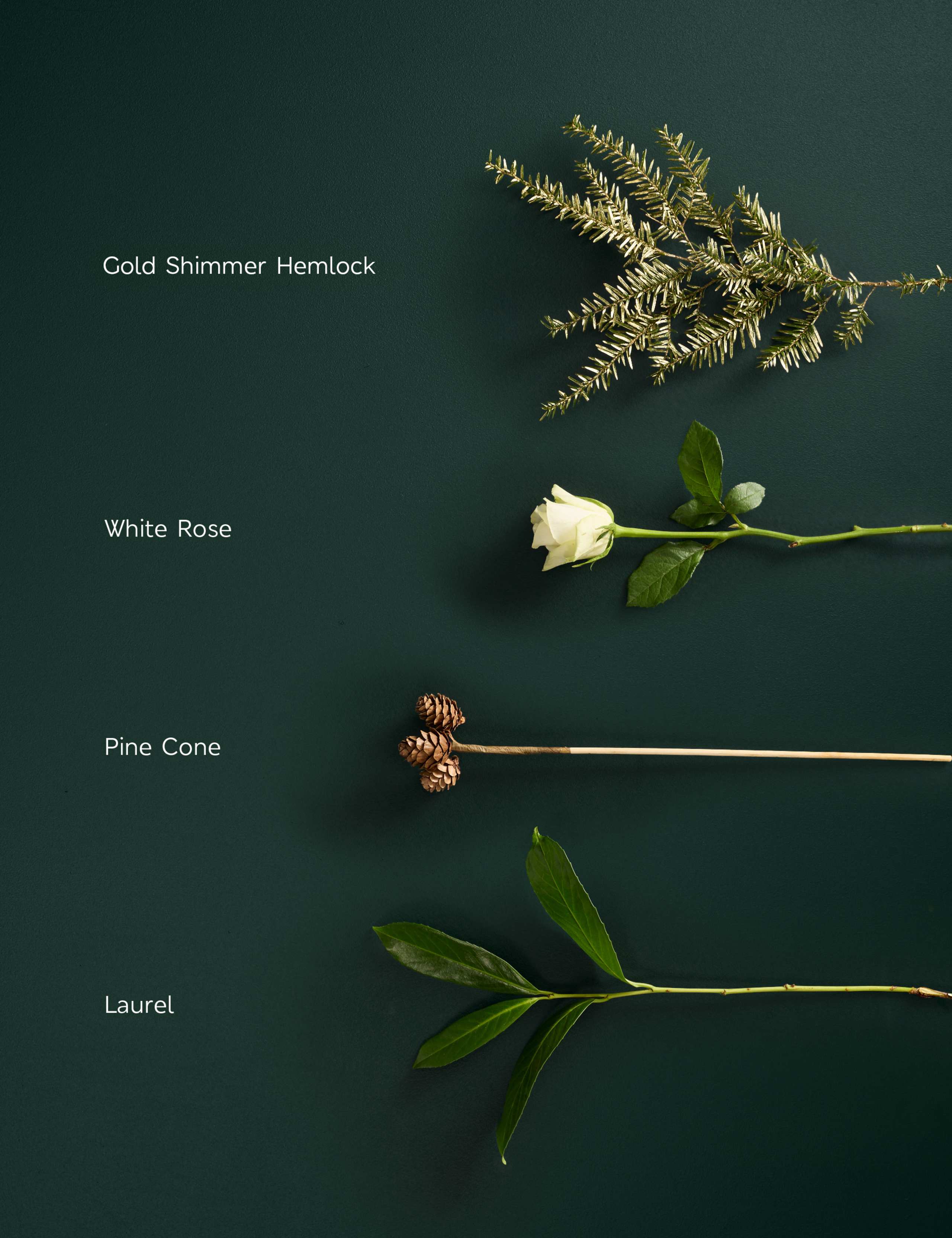 White Rose & Pine Cone Bouquet (Delivery from 26th November) 4 of 5