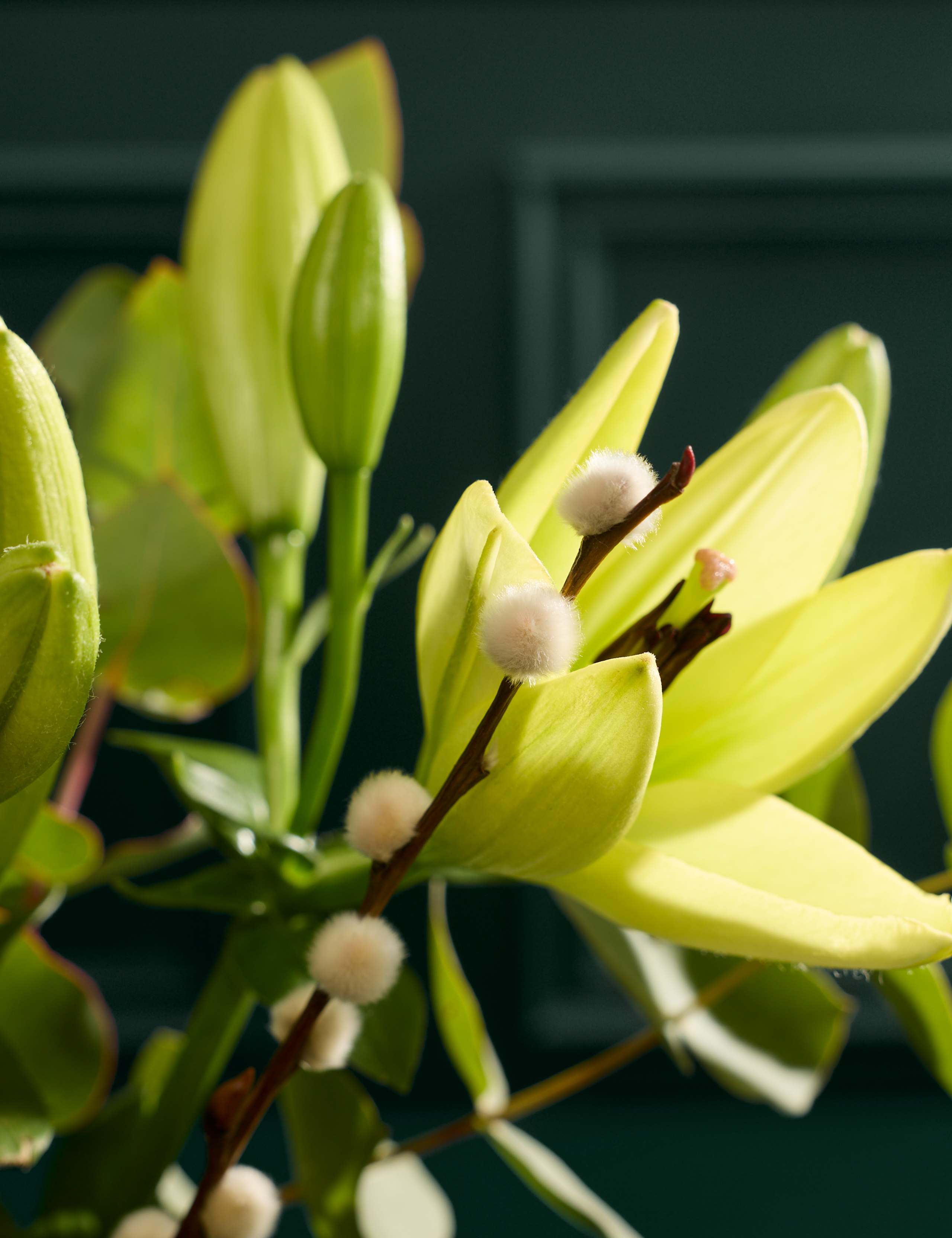 Festive White Lily Bouquet 3 of 5