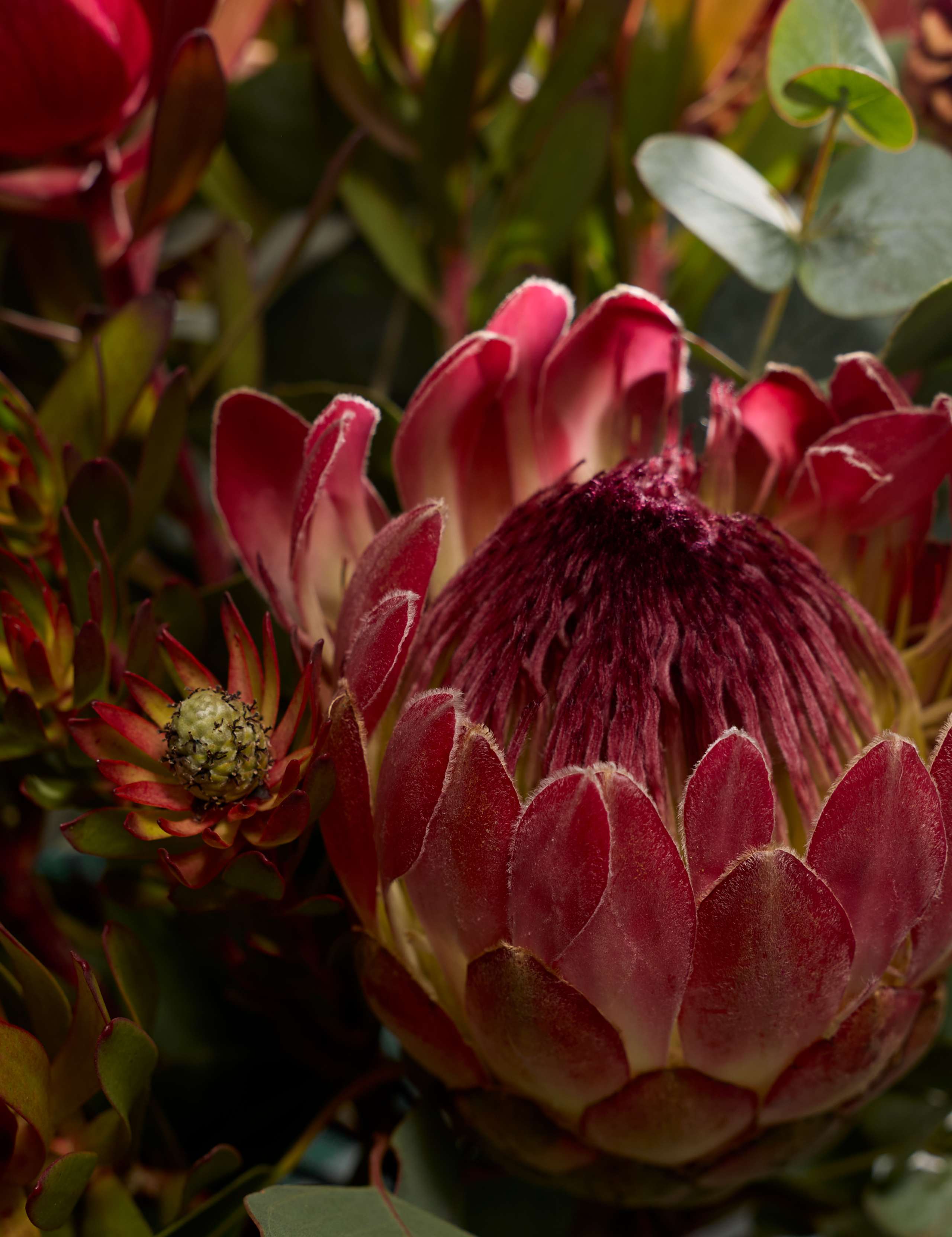 Festive Cape Bouquet 3 of 4