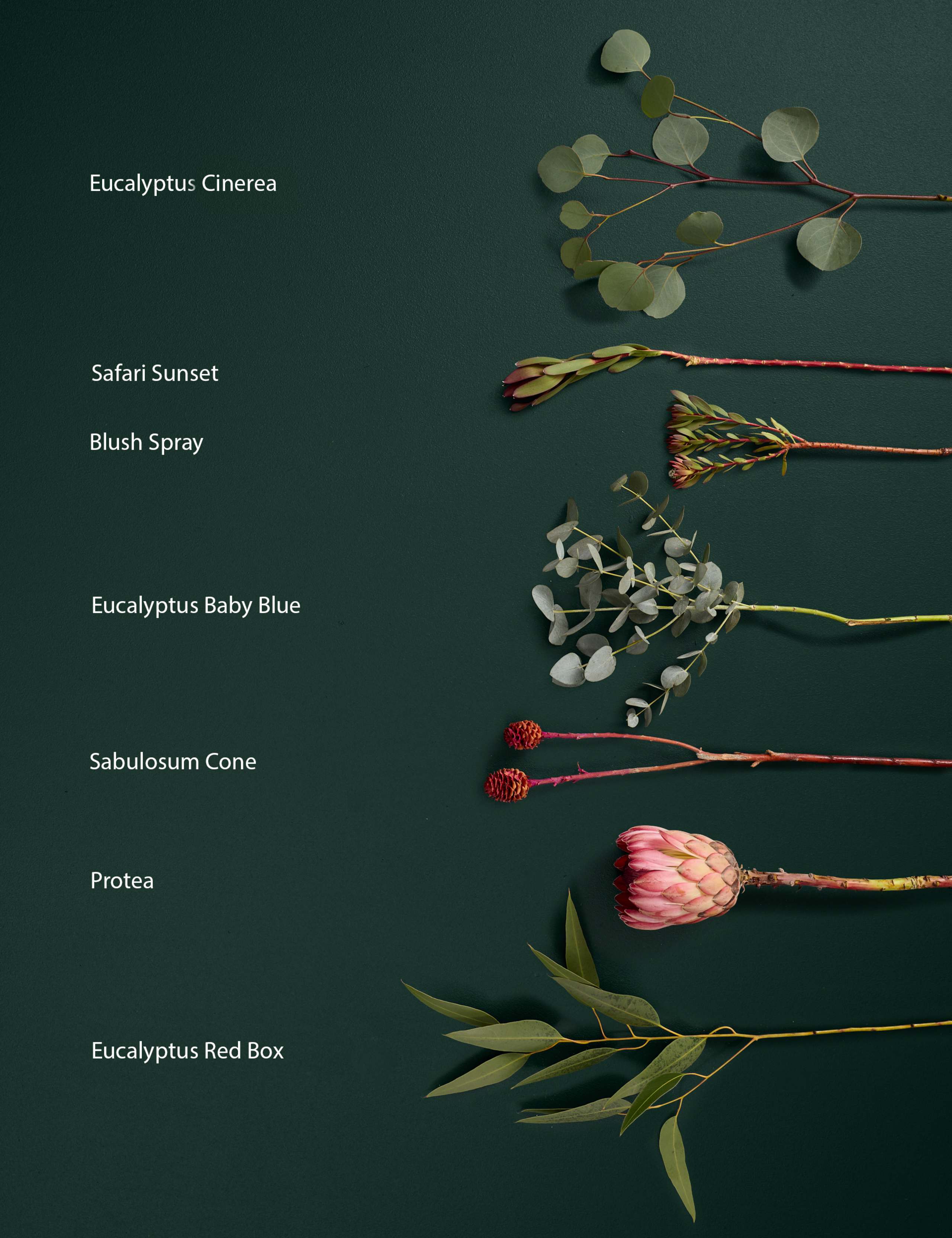 Festive Cape Bouquet 4 of 4