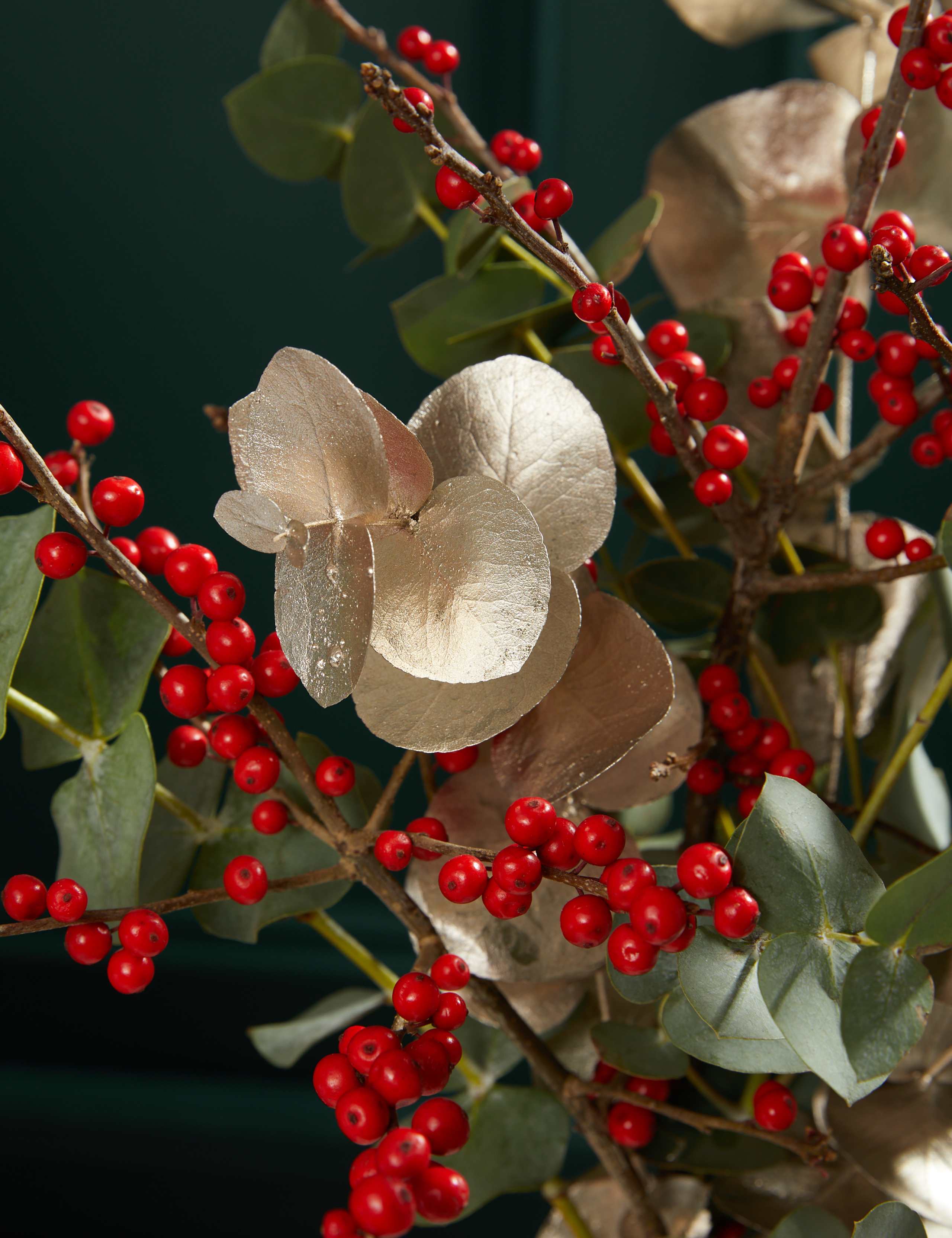 Ilex & Eucalyptus 3 of 3