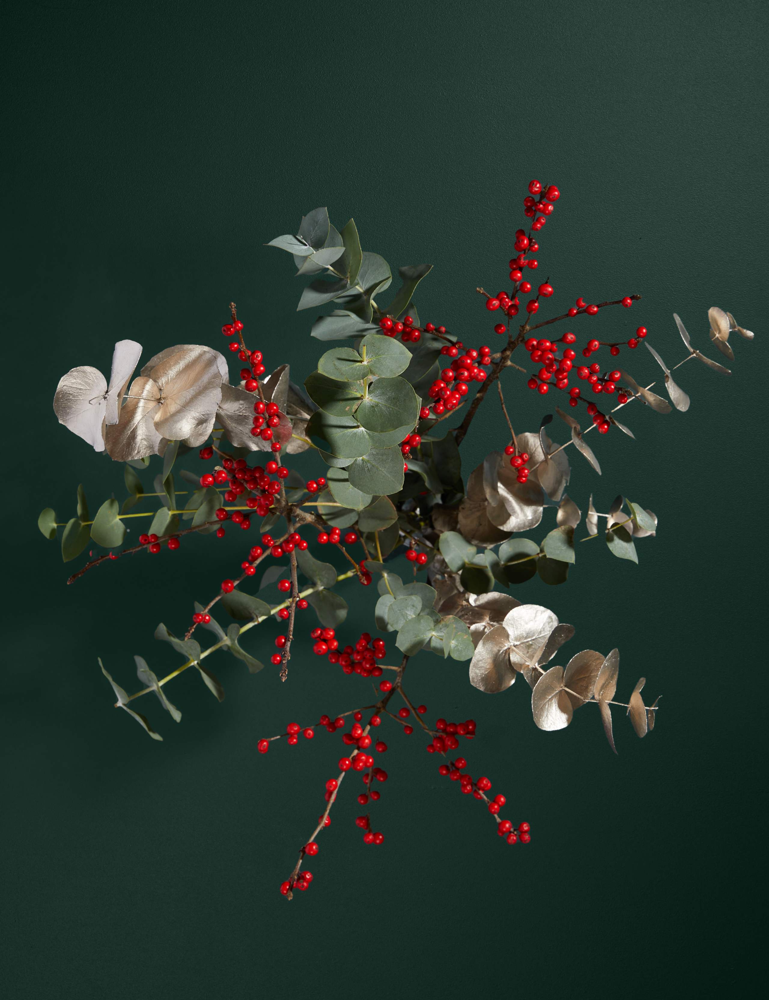 Ilex & Eucalyptus 2 of 3