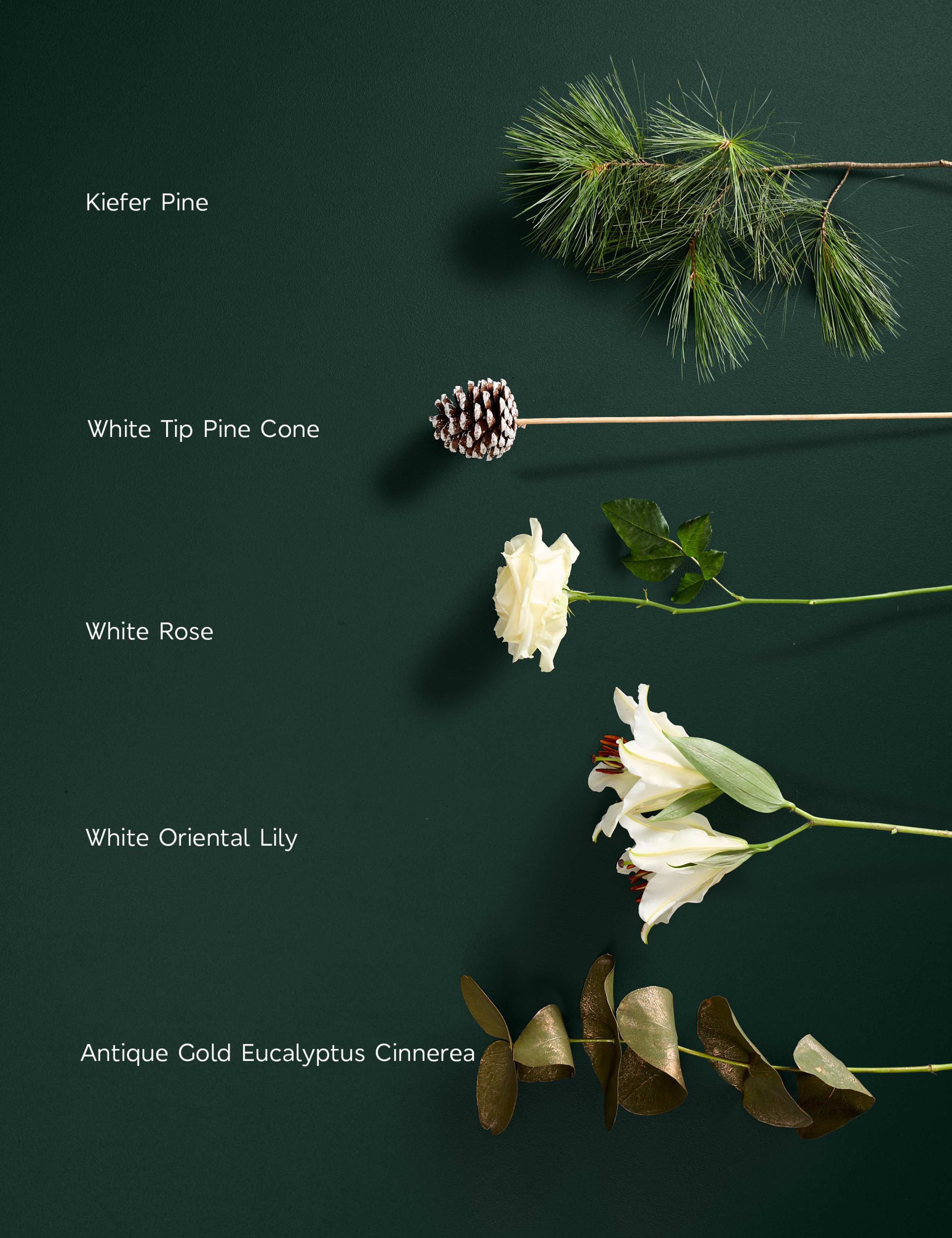 Festive Avalanche™ Rose & Lily Bouquet 4 of 6