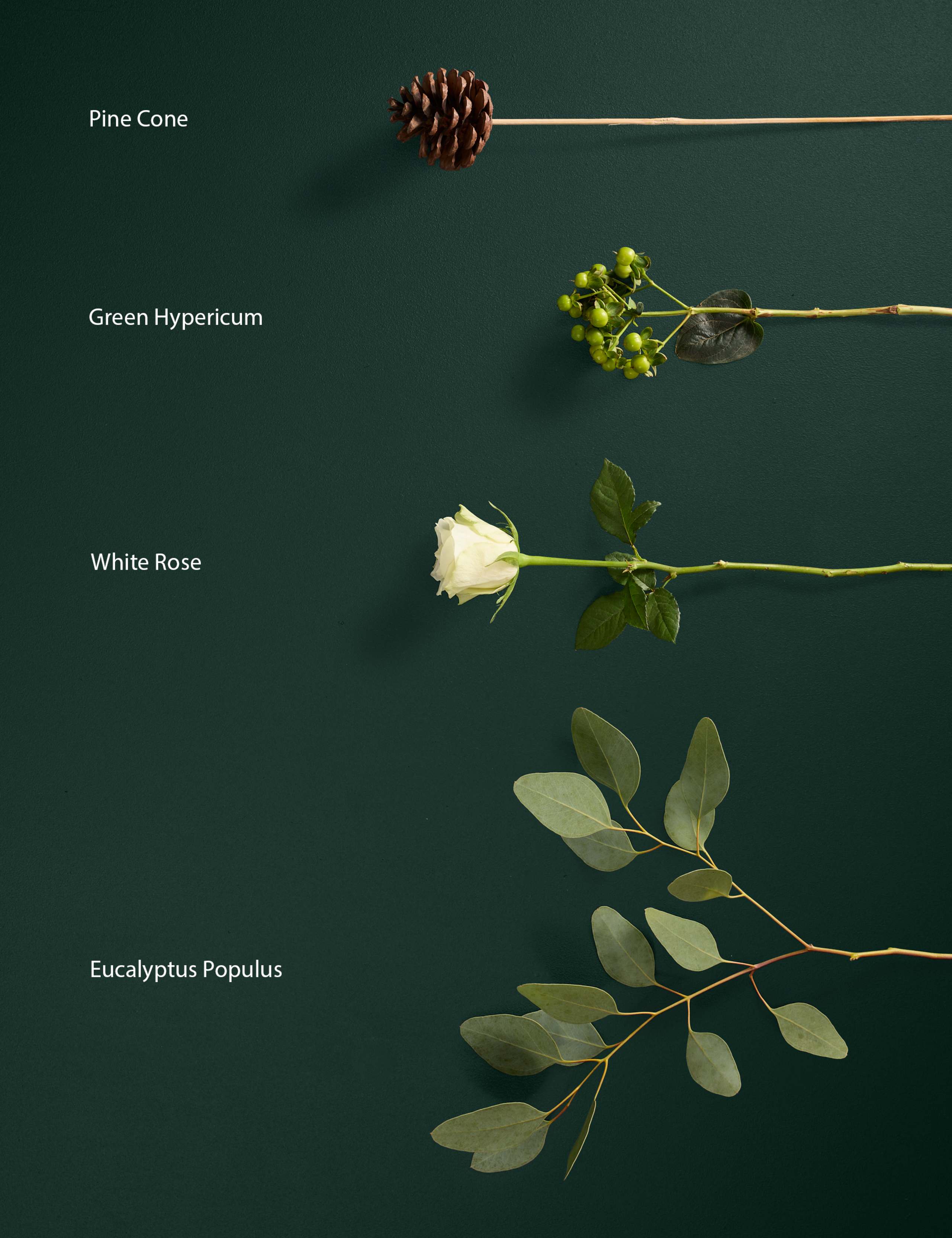 Festive White Rose Bouquet 4 of 6