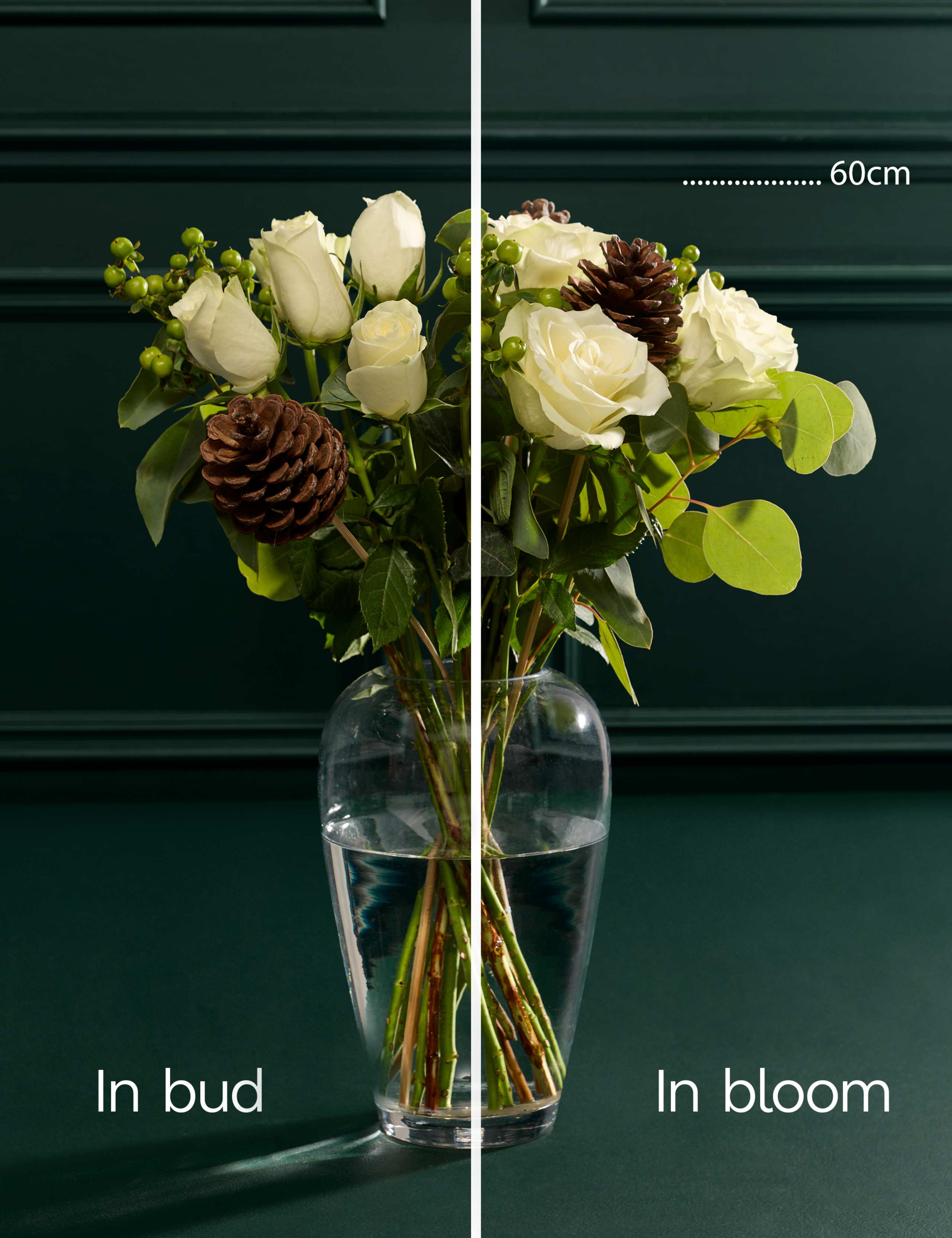 Festive White Rose Bouquet 5 of 6