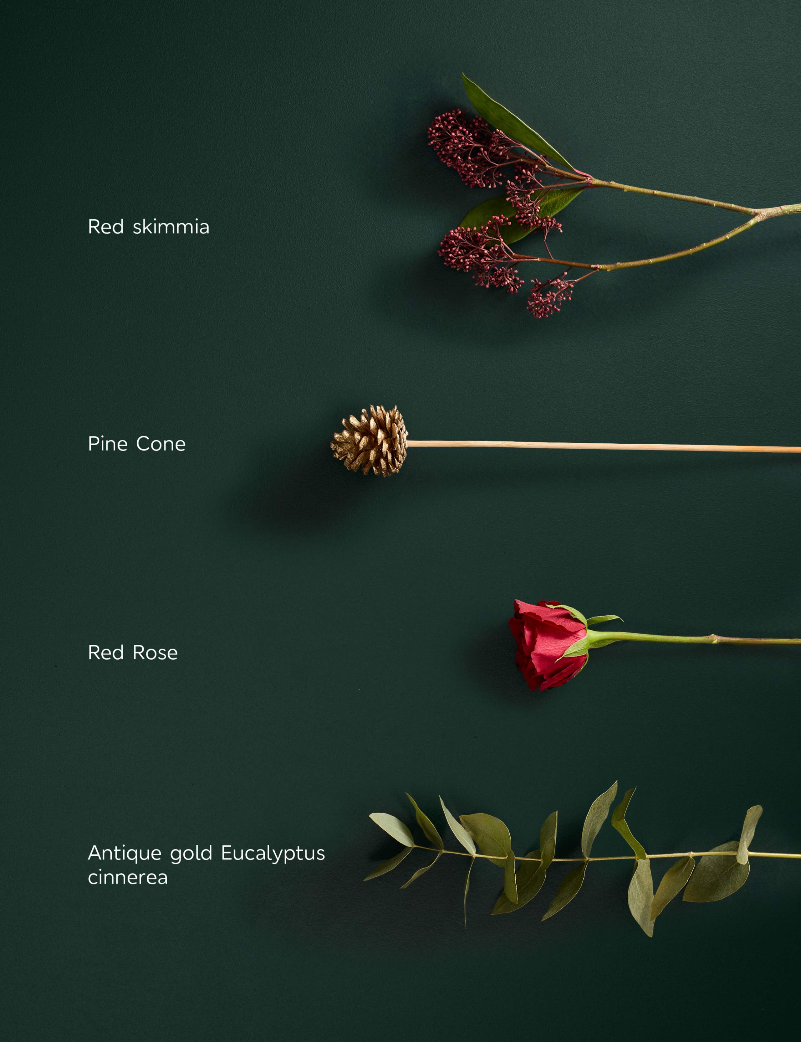 Red Rose & Skimmia with Vase 5 of 8