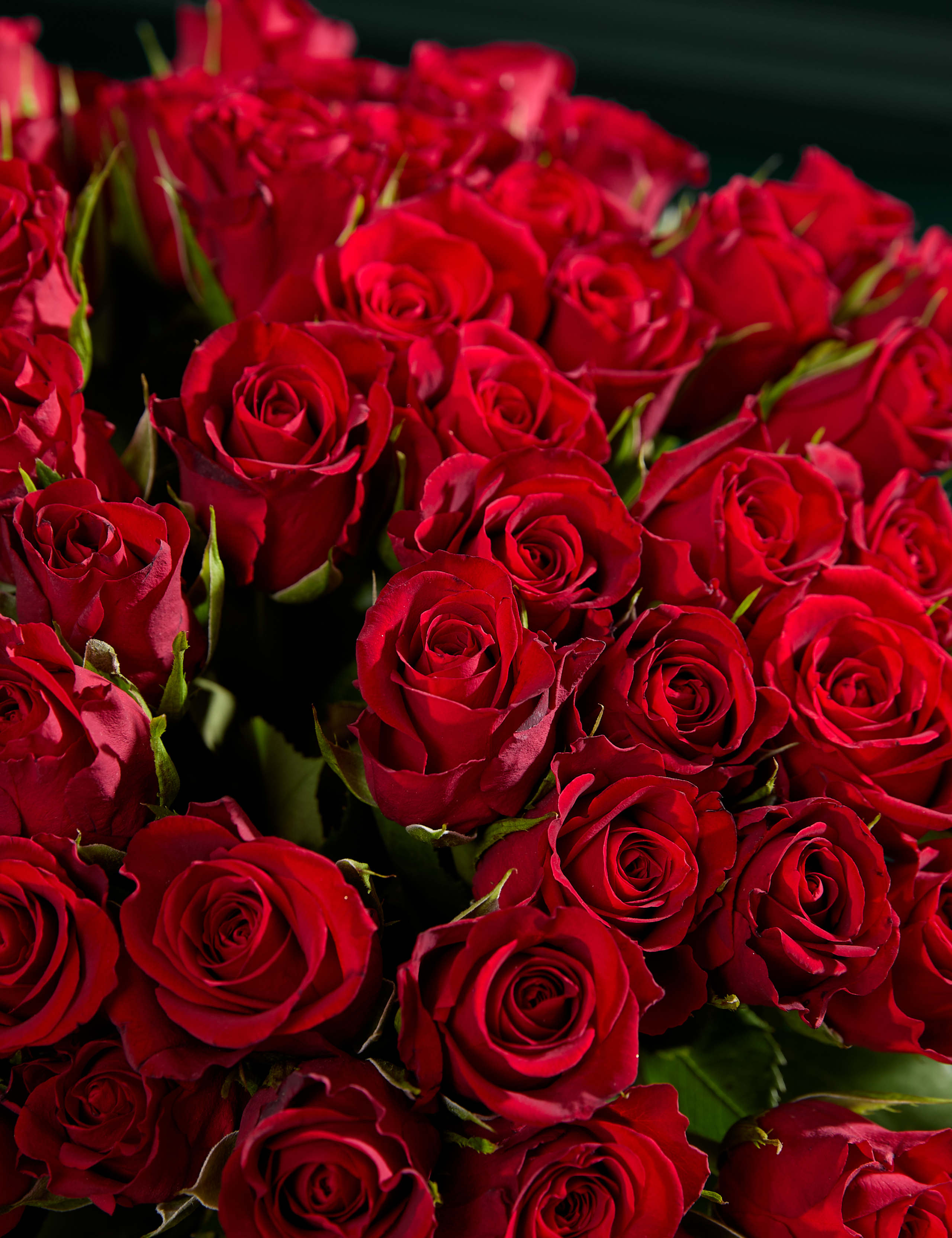 100 Romantic Red Roses Bouquet & Vintage Champagne 3 of 6