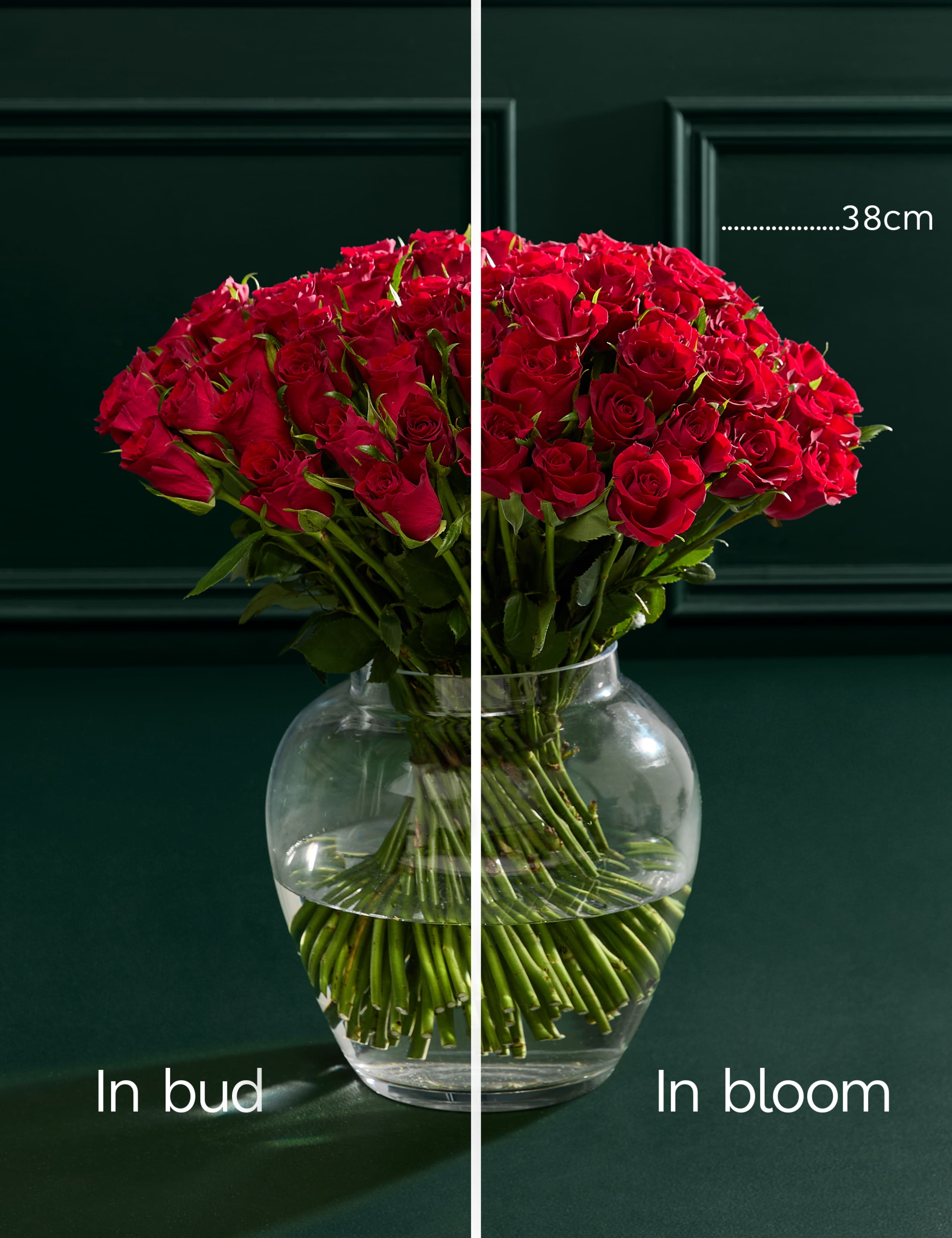 100 Romantic Red Roses Bouquet & Vintage Champagne 4 of 6