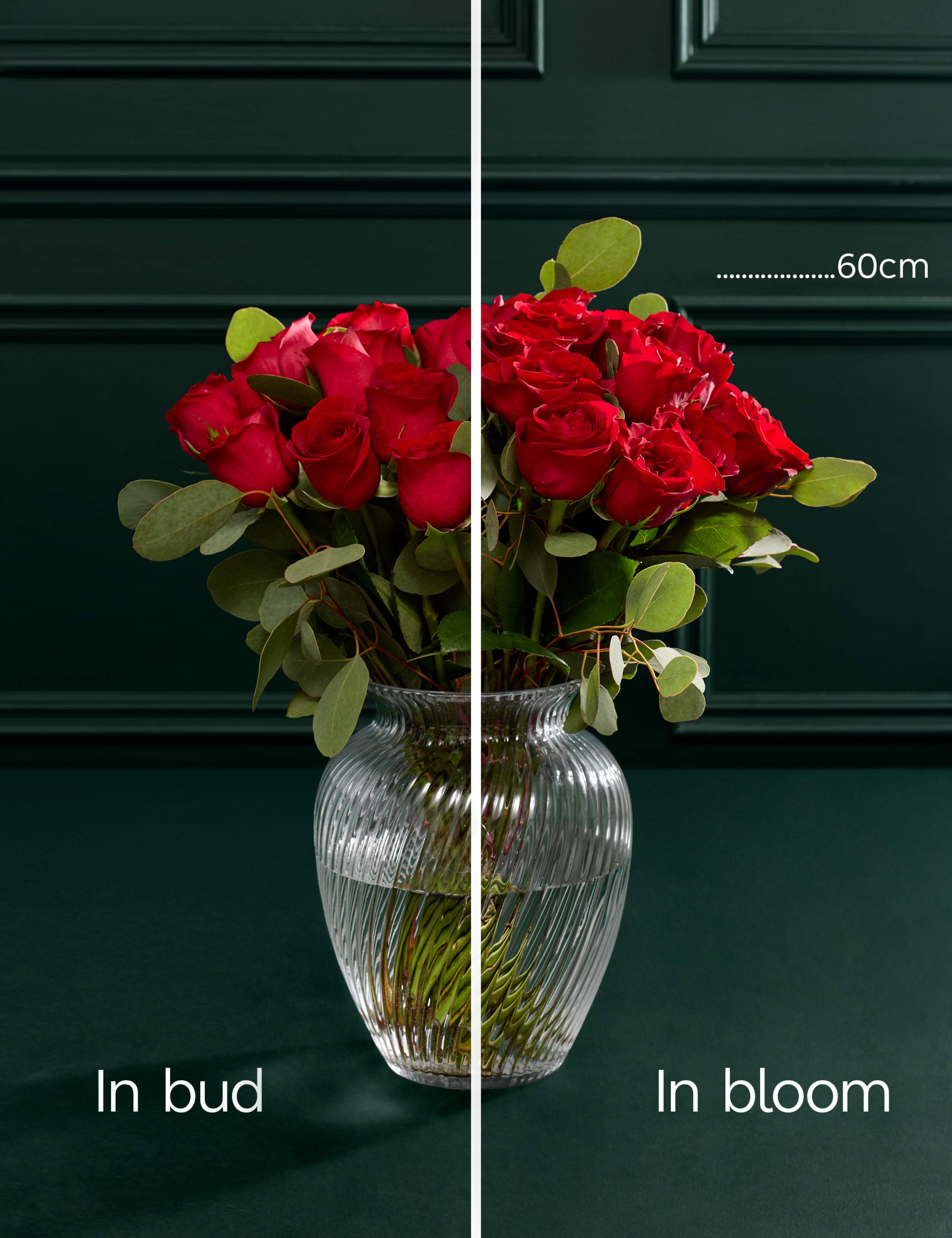 Valentine's Red Freedom® Rose & Eucalyptus Bouquet with Champagne 6 of 9