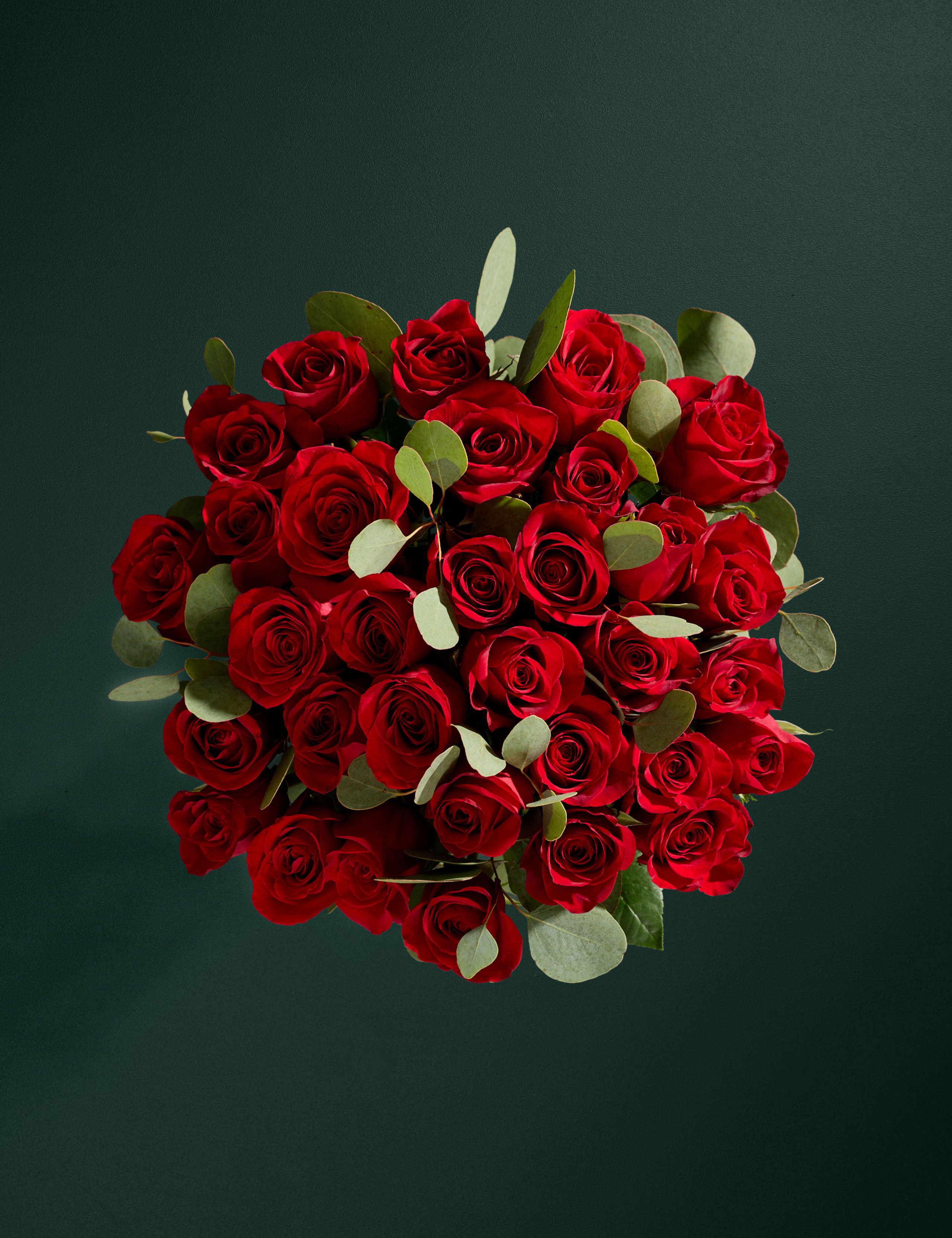 Valentine's Red Freedom® Rose & Eucalyptus Bouquet with Champagne 2 of 9