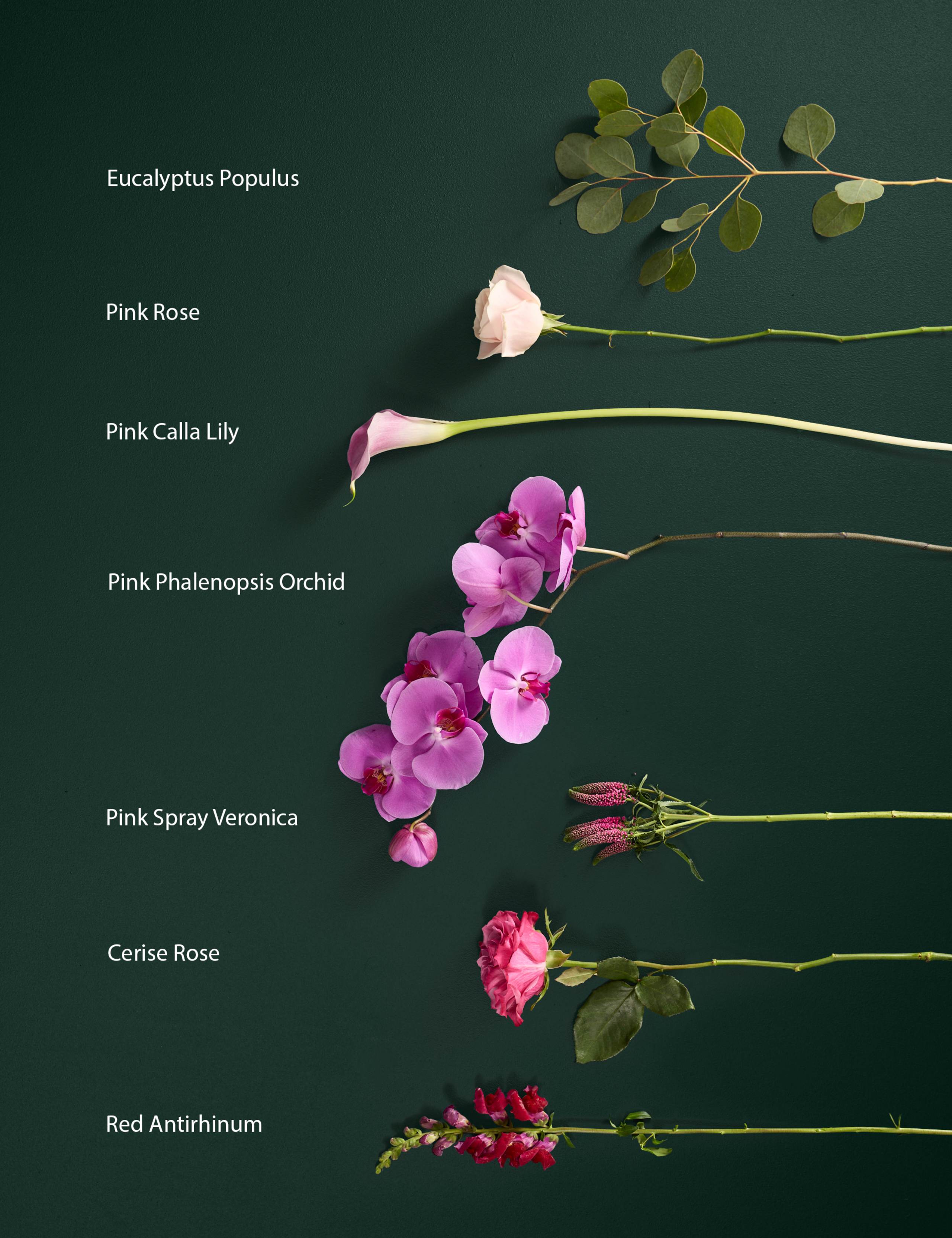 Luxury Pink Rose & Cymbidium Orchid Bouquet 5 of 10