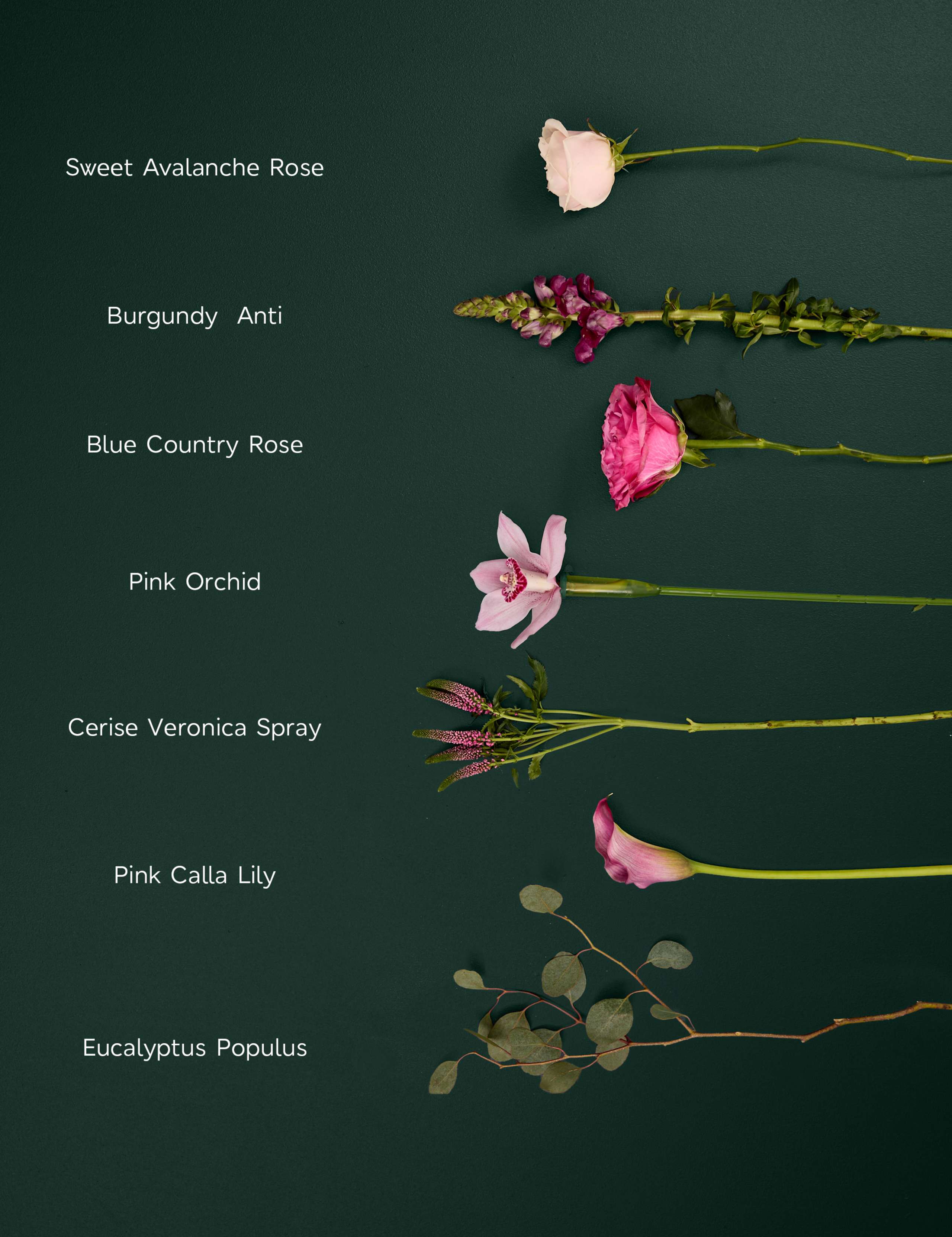 Rose, Calla Lily & Cymbidium Orchid Bouquet 4 of 8