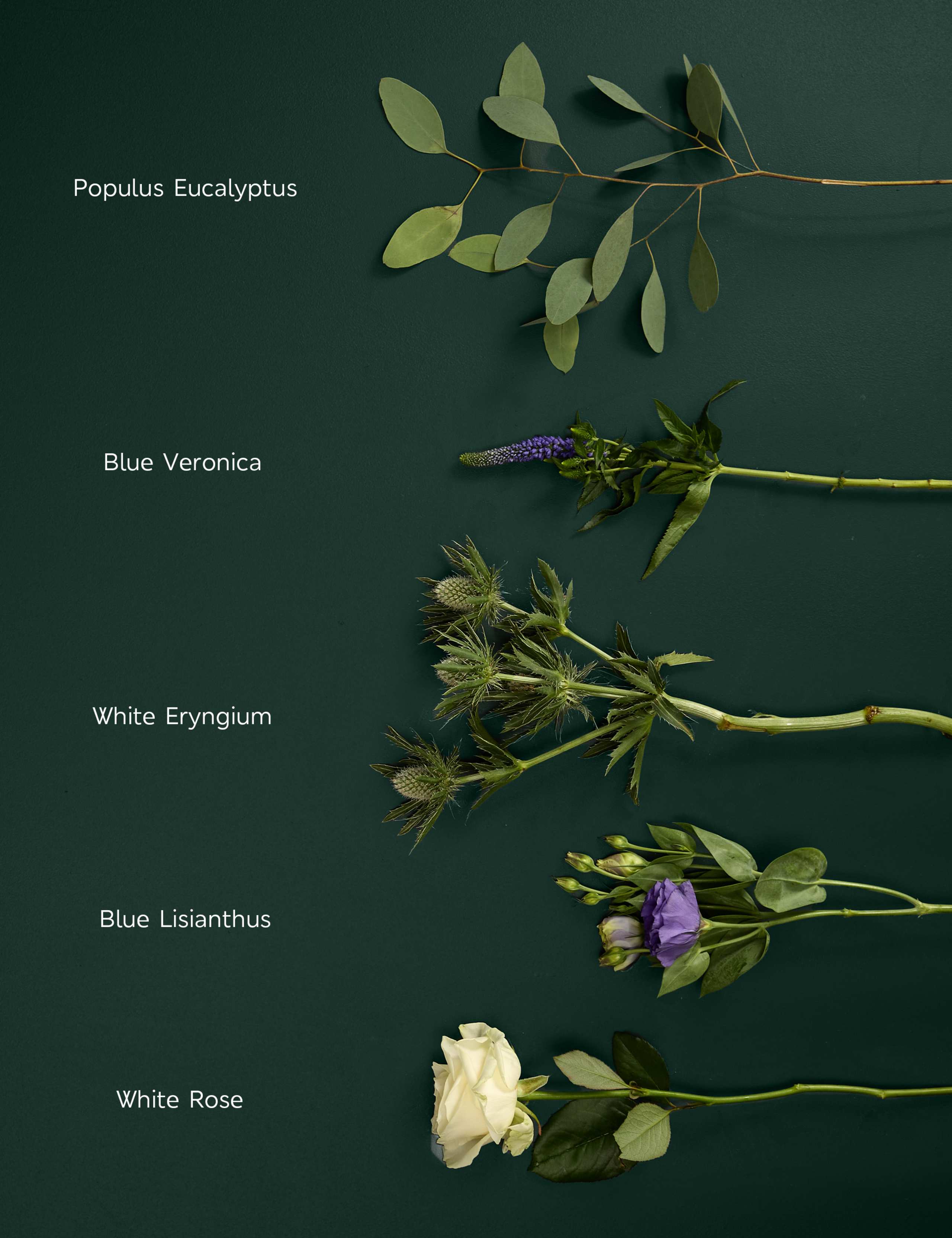 White Rose & Veronica Bouquet 4 of 6