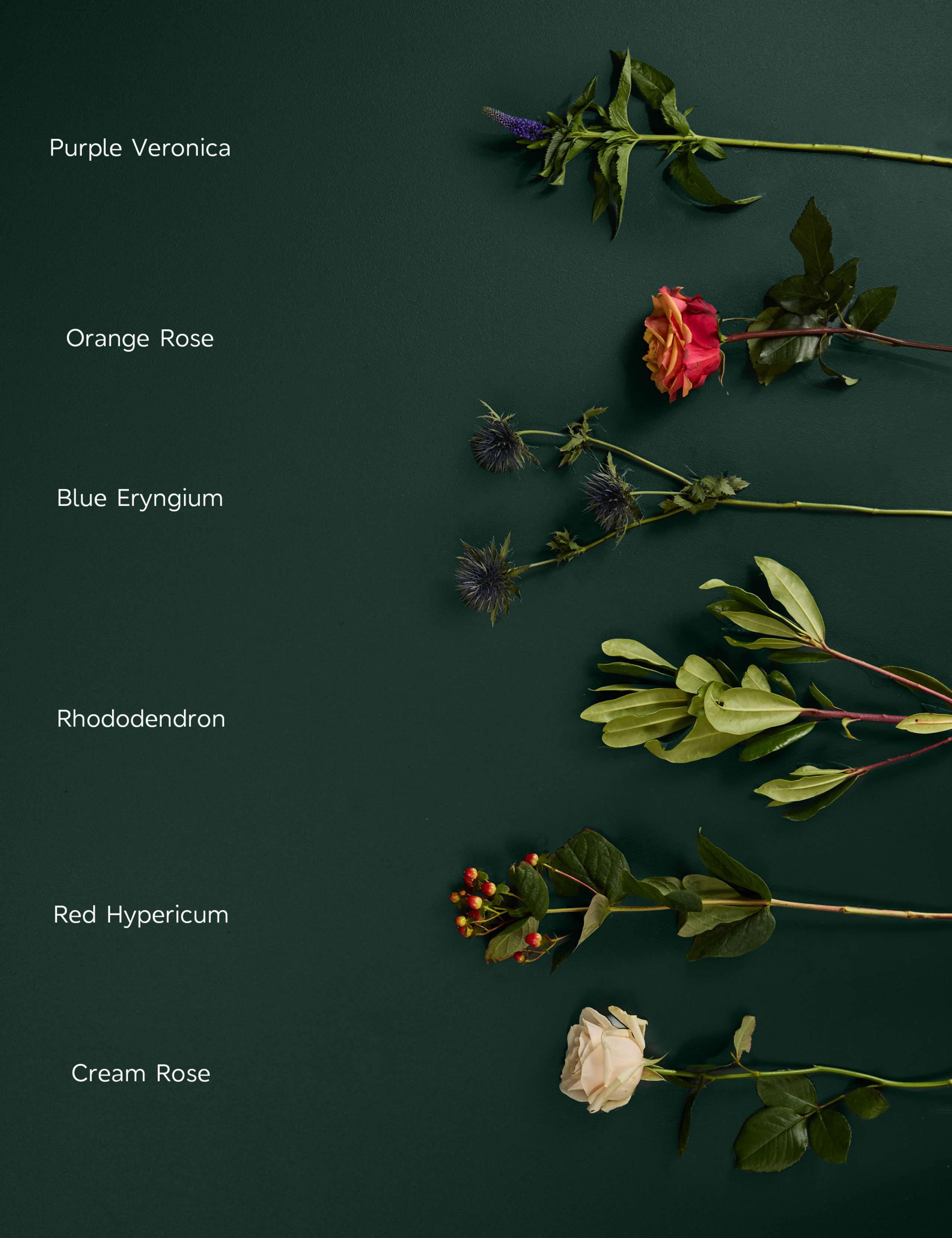 Orange & Cream Rose Bouquet 4 of 6