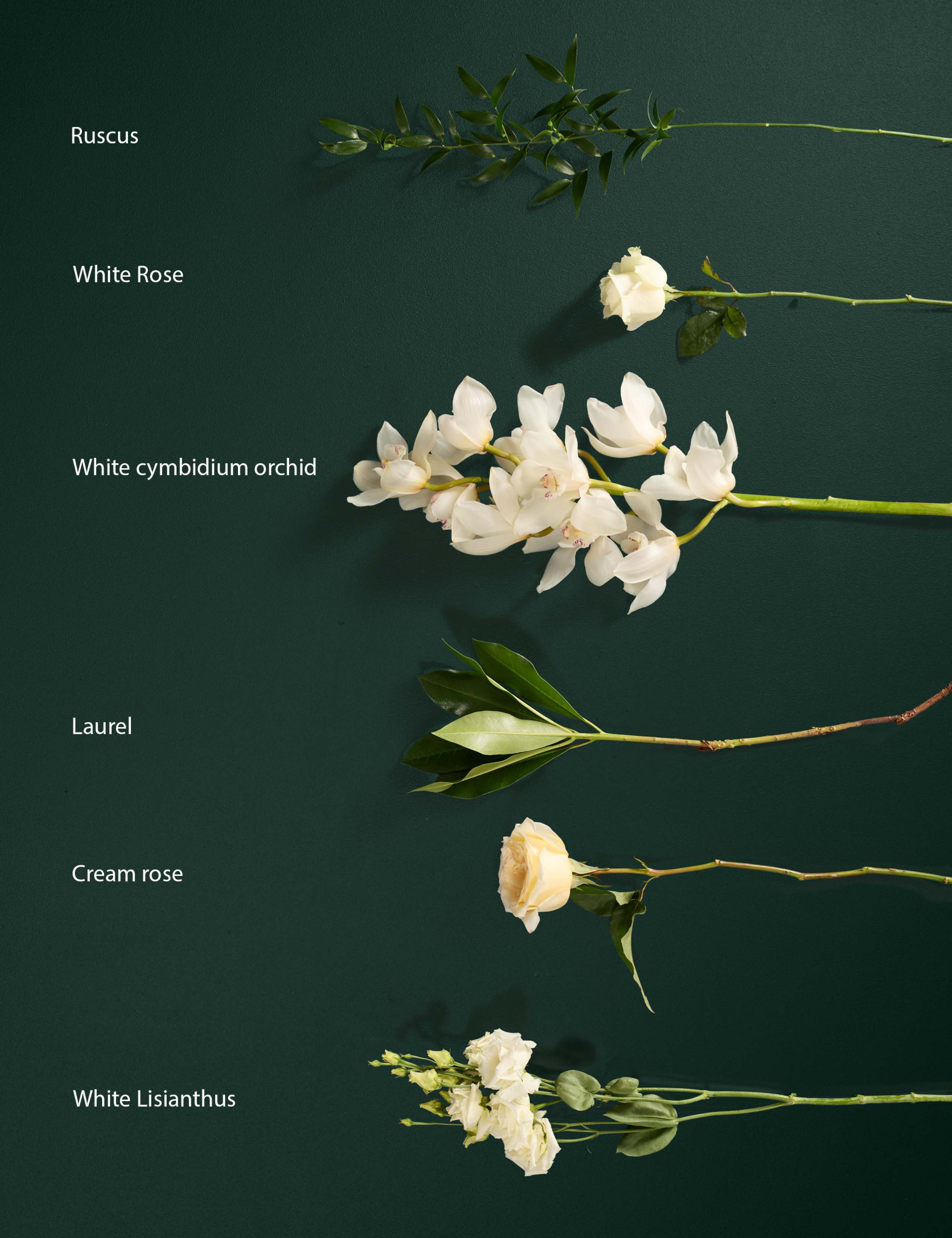 Luxury White Rose & Cymbidium Orchid Bouquet 5 of 10