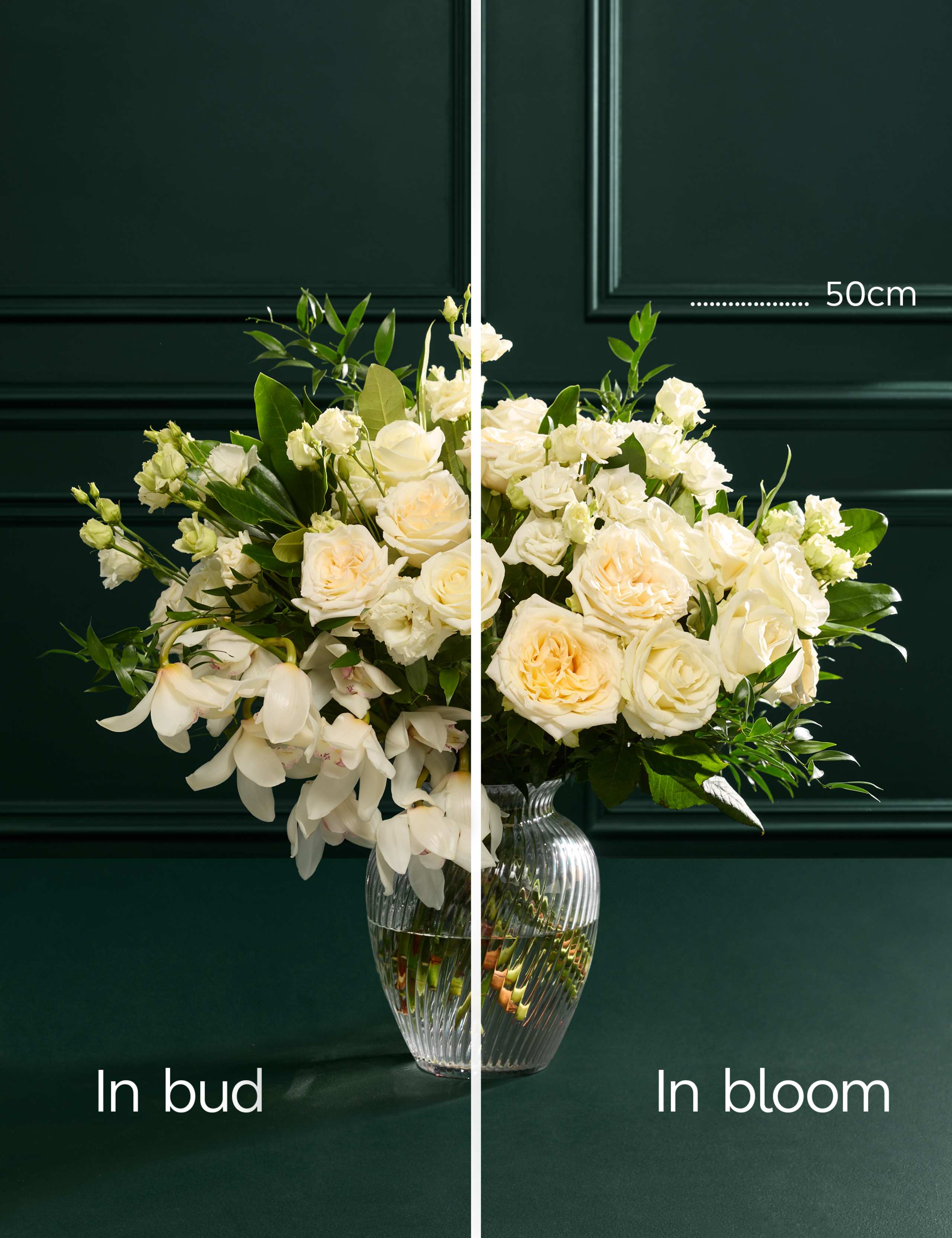 Luxury White Rose & Cymbidium Orchid Bouquet 7 of 10