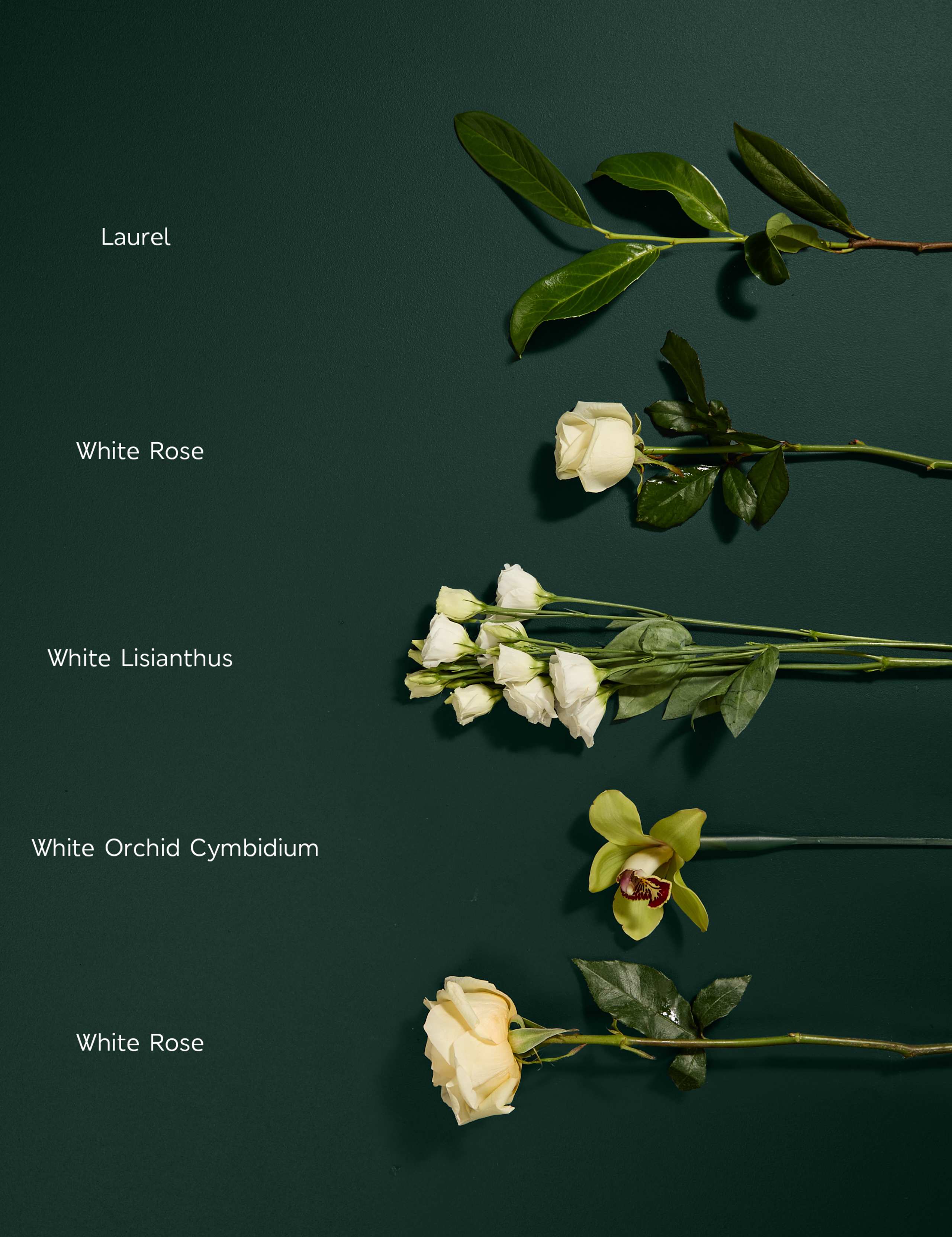 White Rose, Lisianthus & Cymbidium Orchid Bouquet 4 of 7