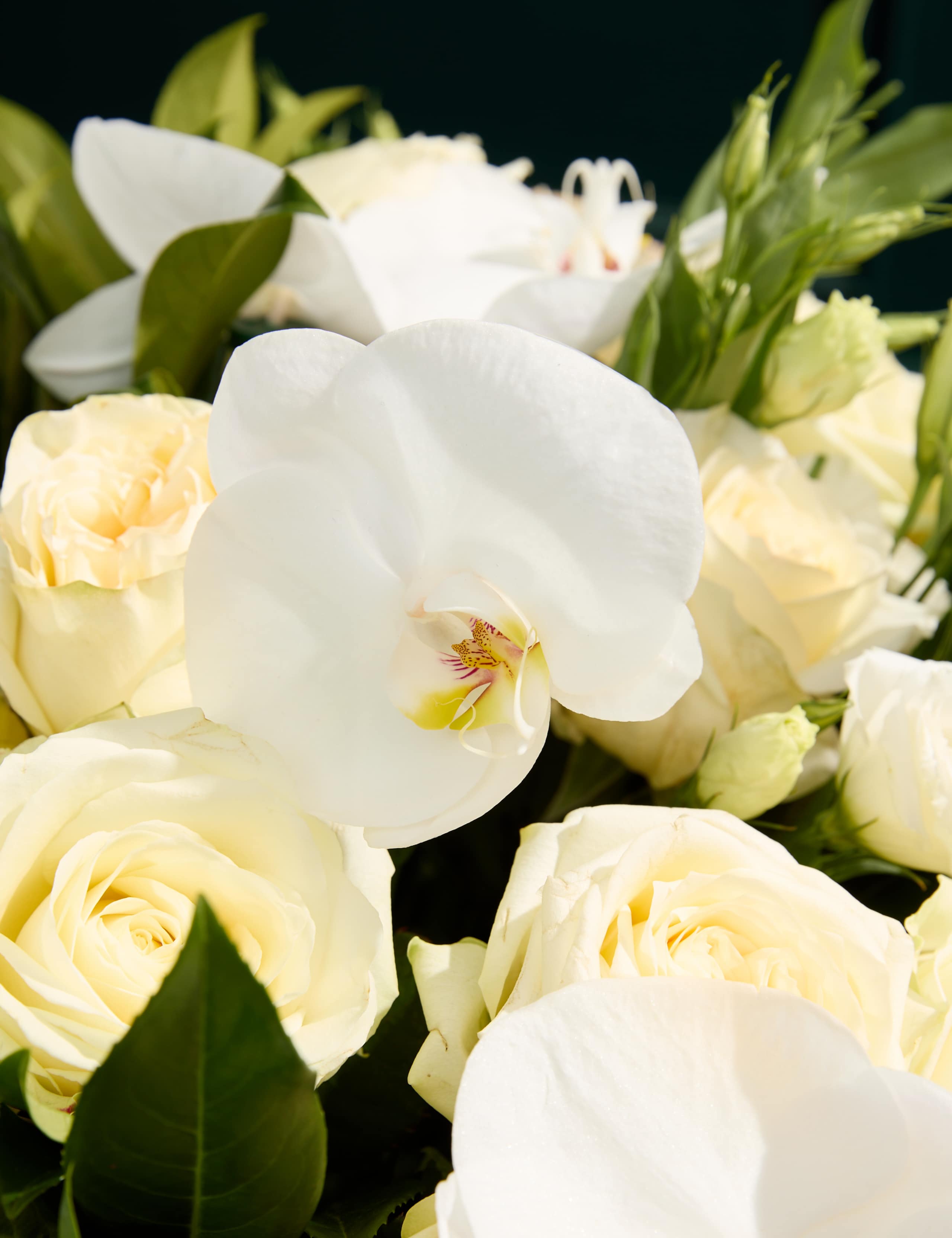 White Rose, Lisianthus & Orchid Bouquet 3 of 8