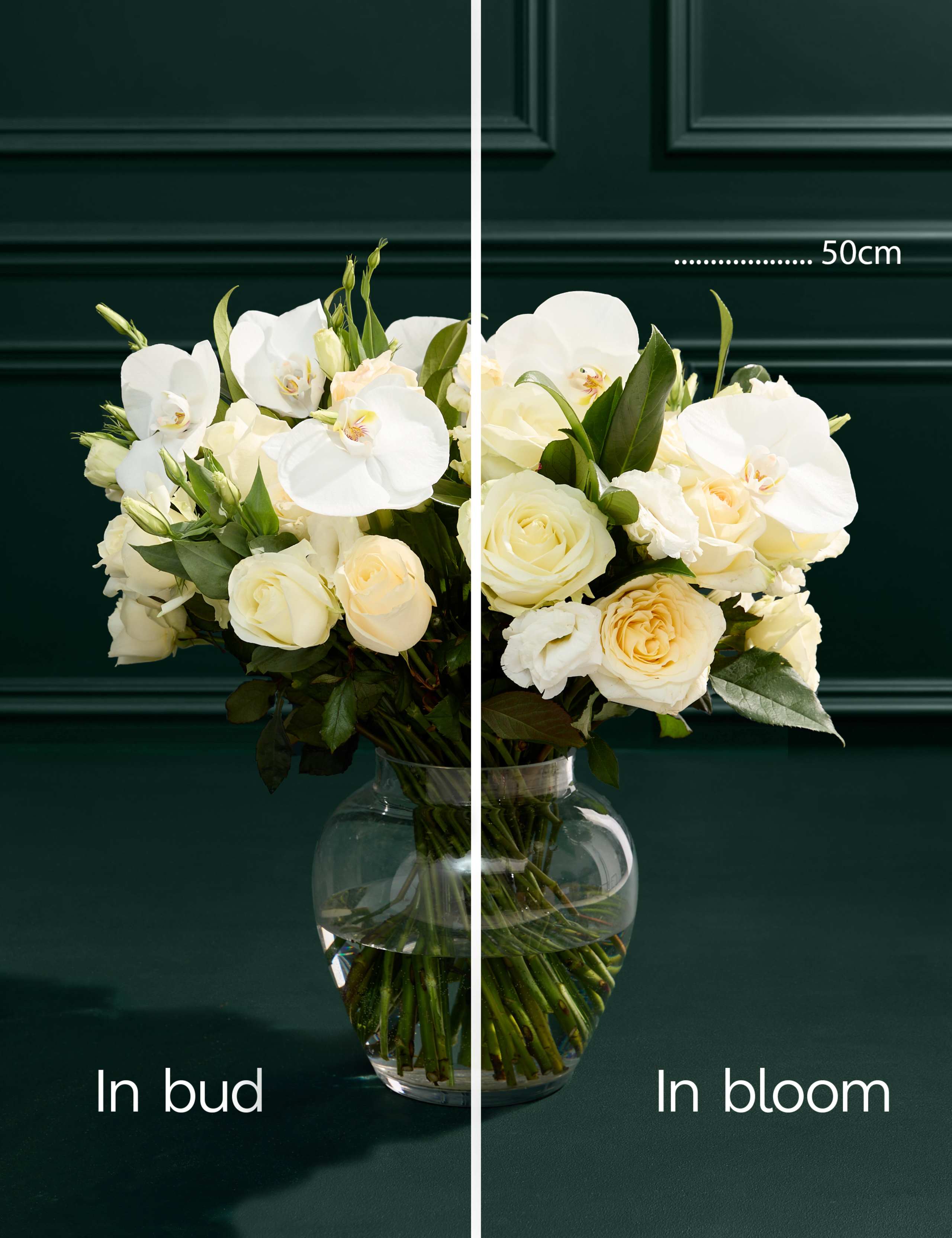 White Rose, Lisianthus & Orchid Bouquet 4 of 8