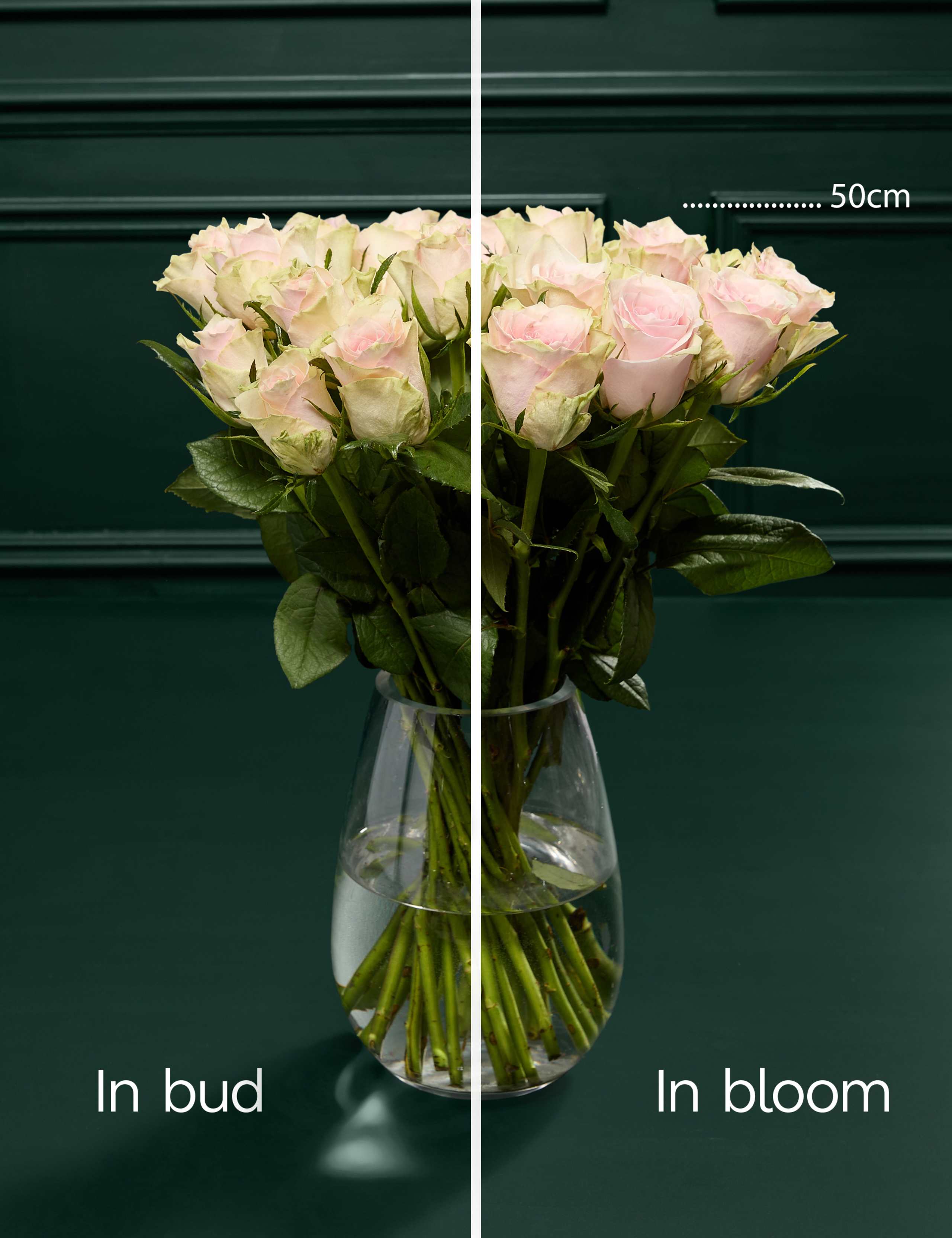 Blush Rose Bouquet & Beauty Hamper 5 of 7