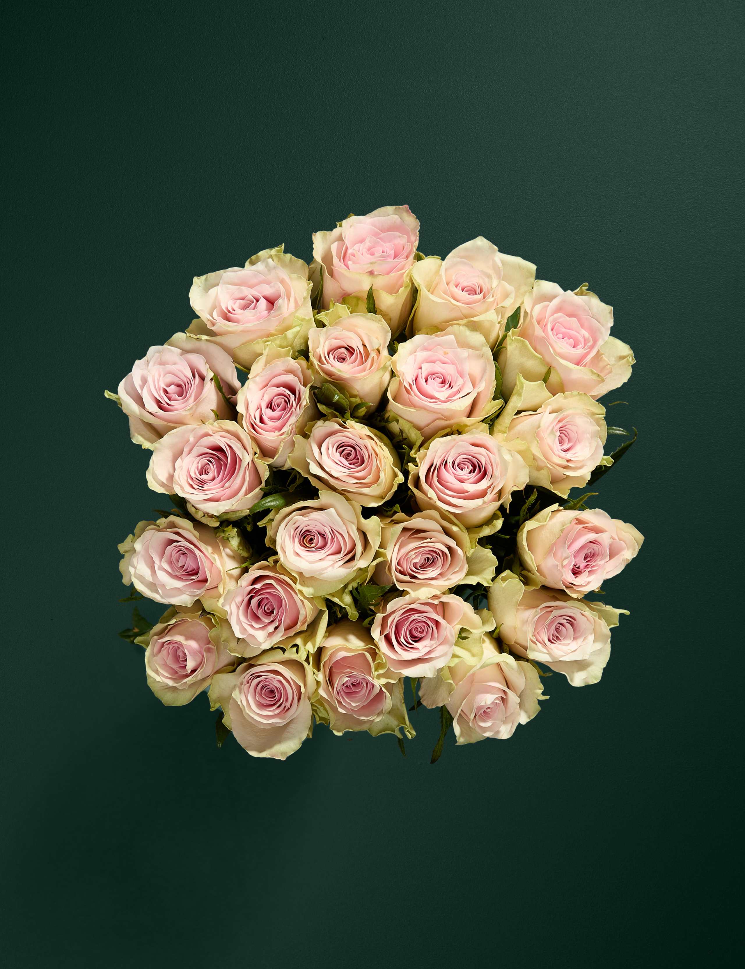 Blush Rose Bouquet & Beauty Hamper 2 of 7