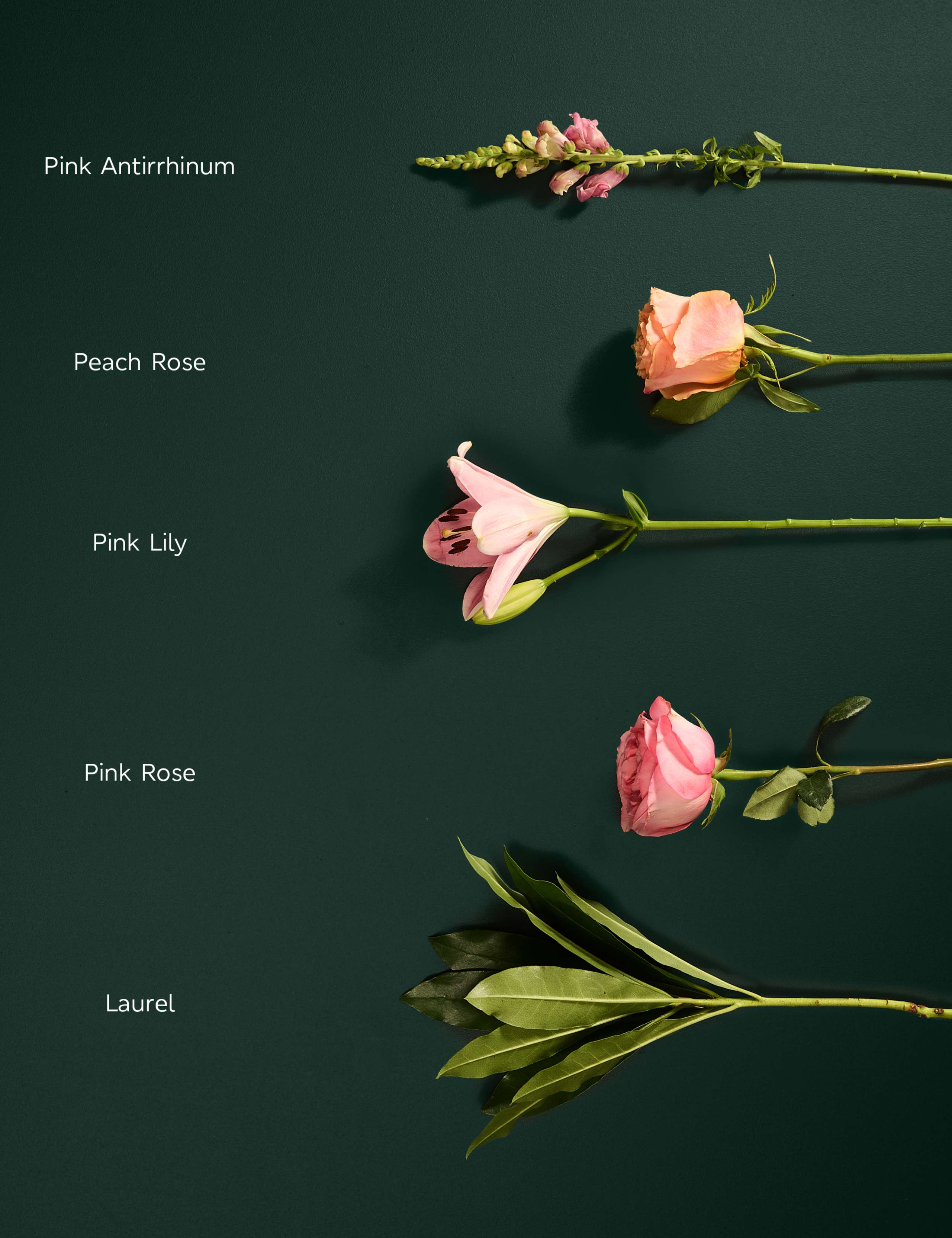 Pink Rose & Lily Bouquet 4 of 7