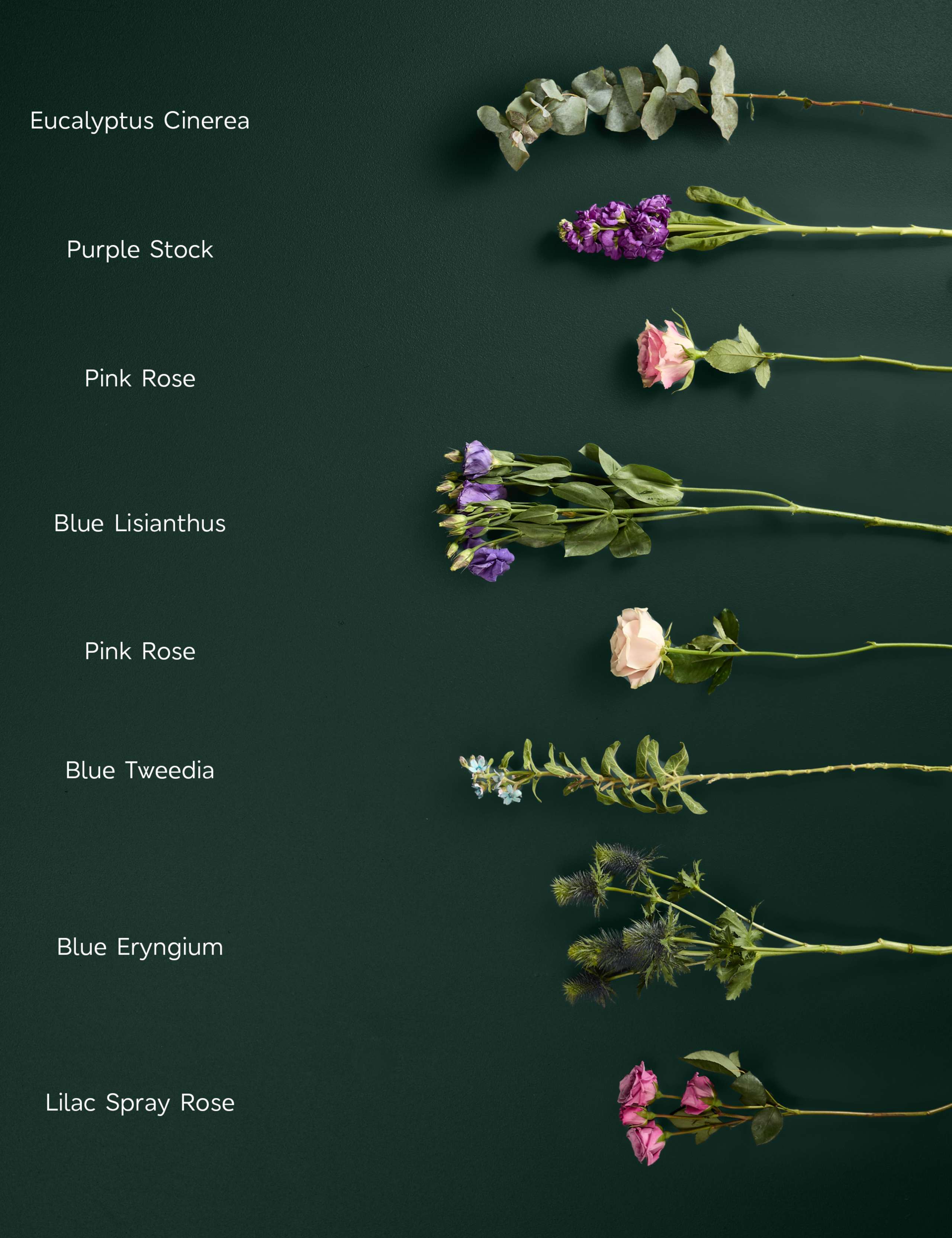 Rose, Lisianthus & Tweedia Bouquet 4 of 6