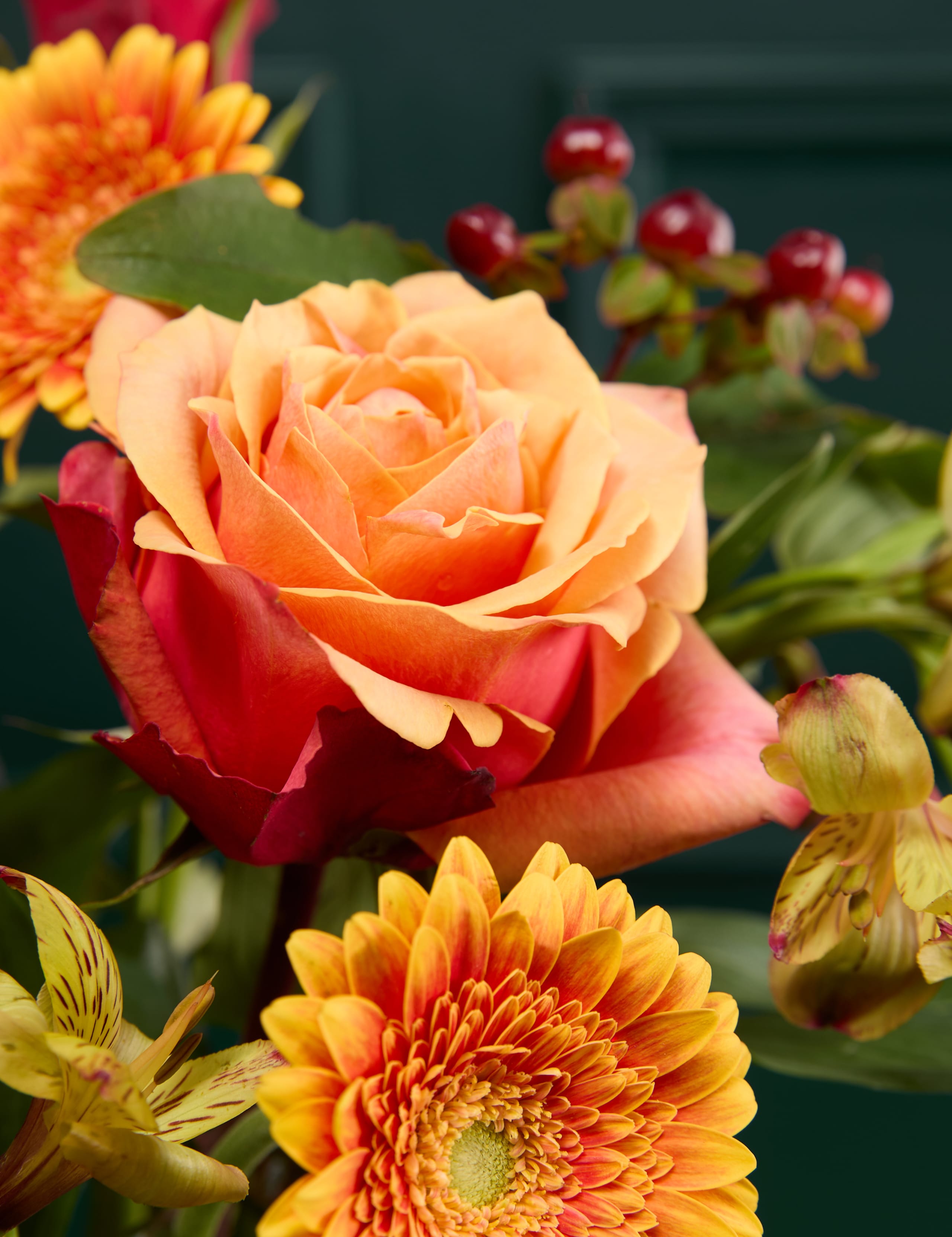 Germini & Rose Bouquet 3 of 6
