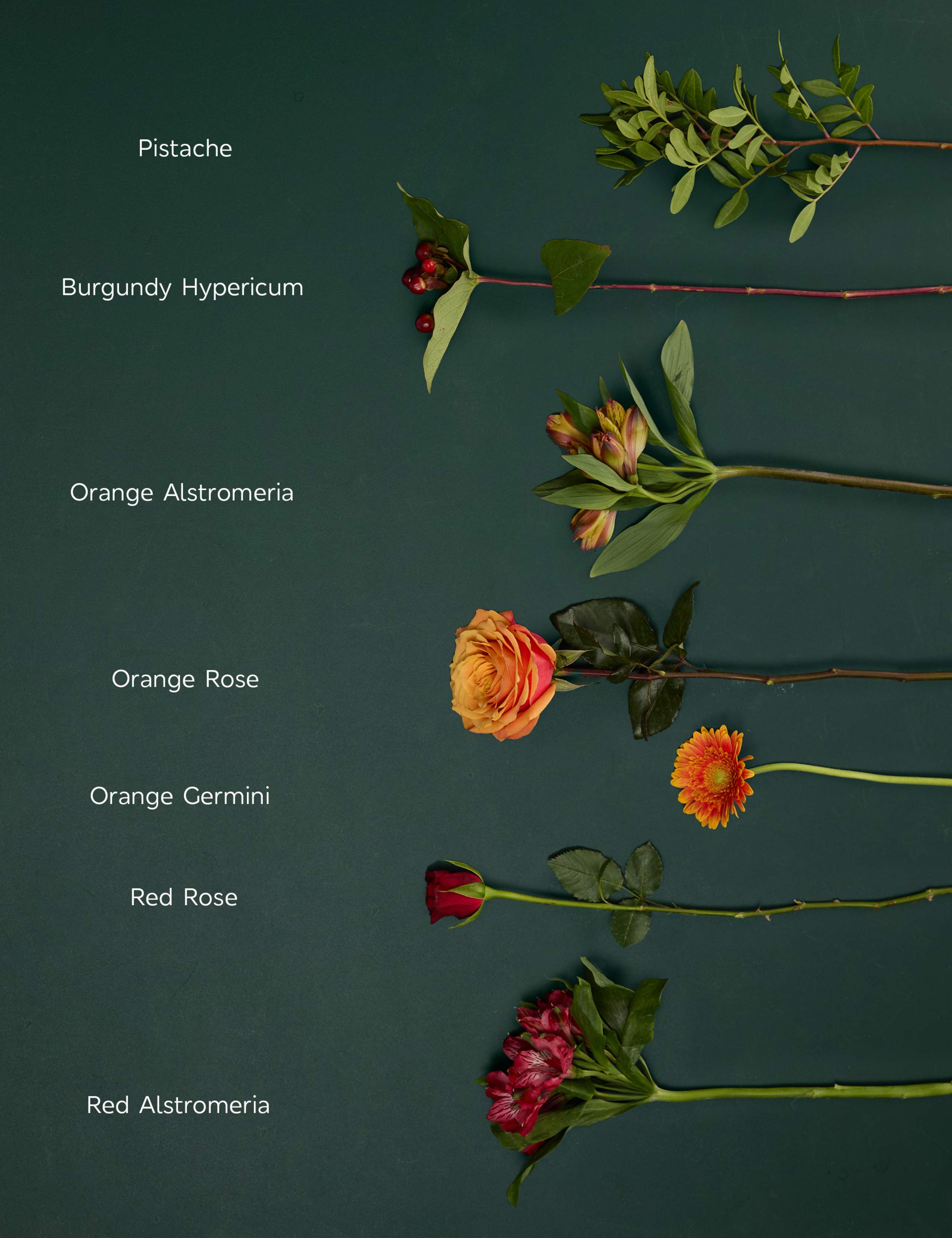 Germini & Rose Bouquet 4 of 6