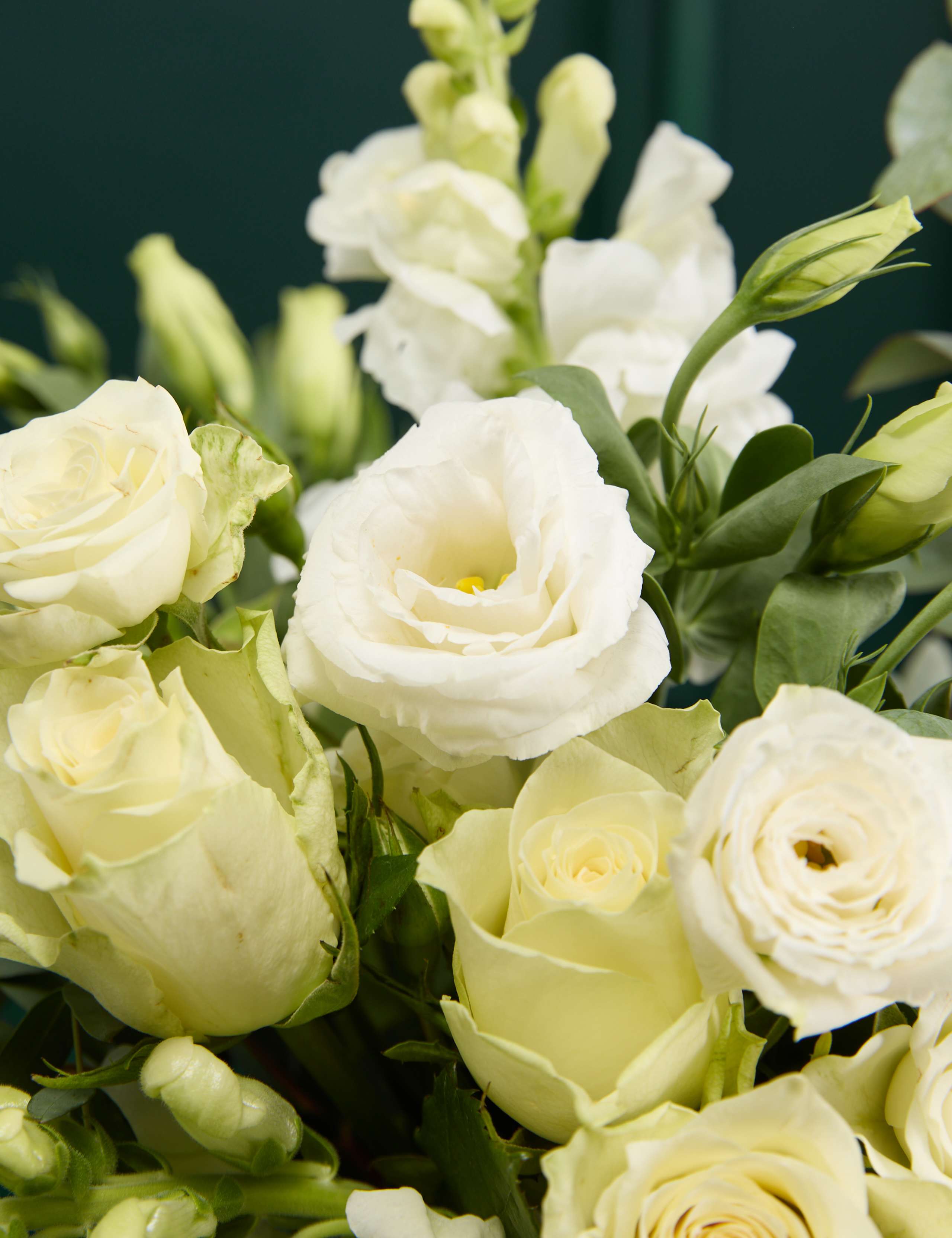 Thinking Of You Rose Bouquet with Vase 3 of 7