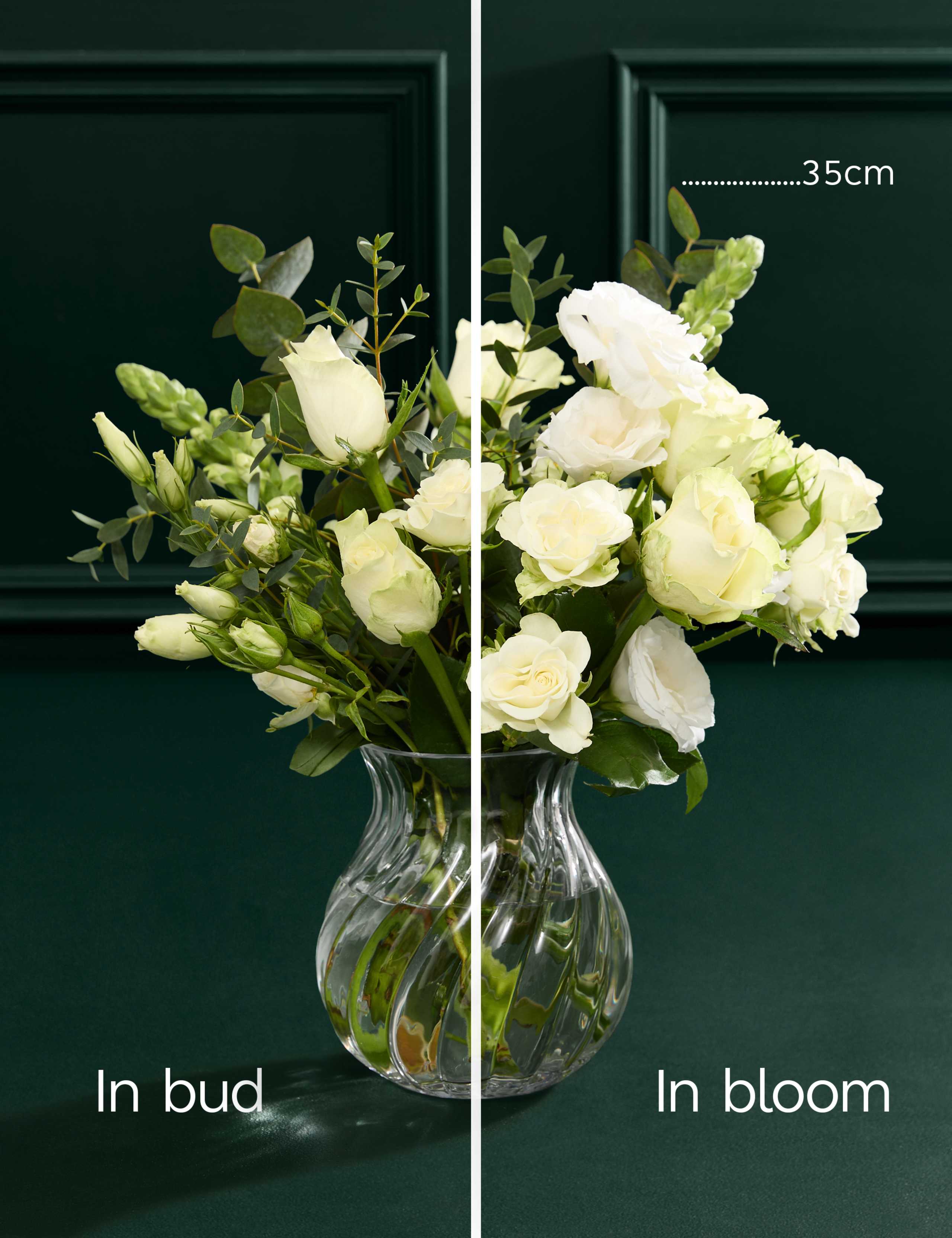 Thinking Of You Posy with Vase 5 of 8