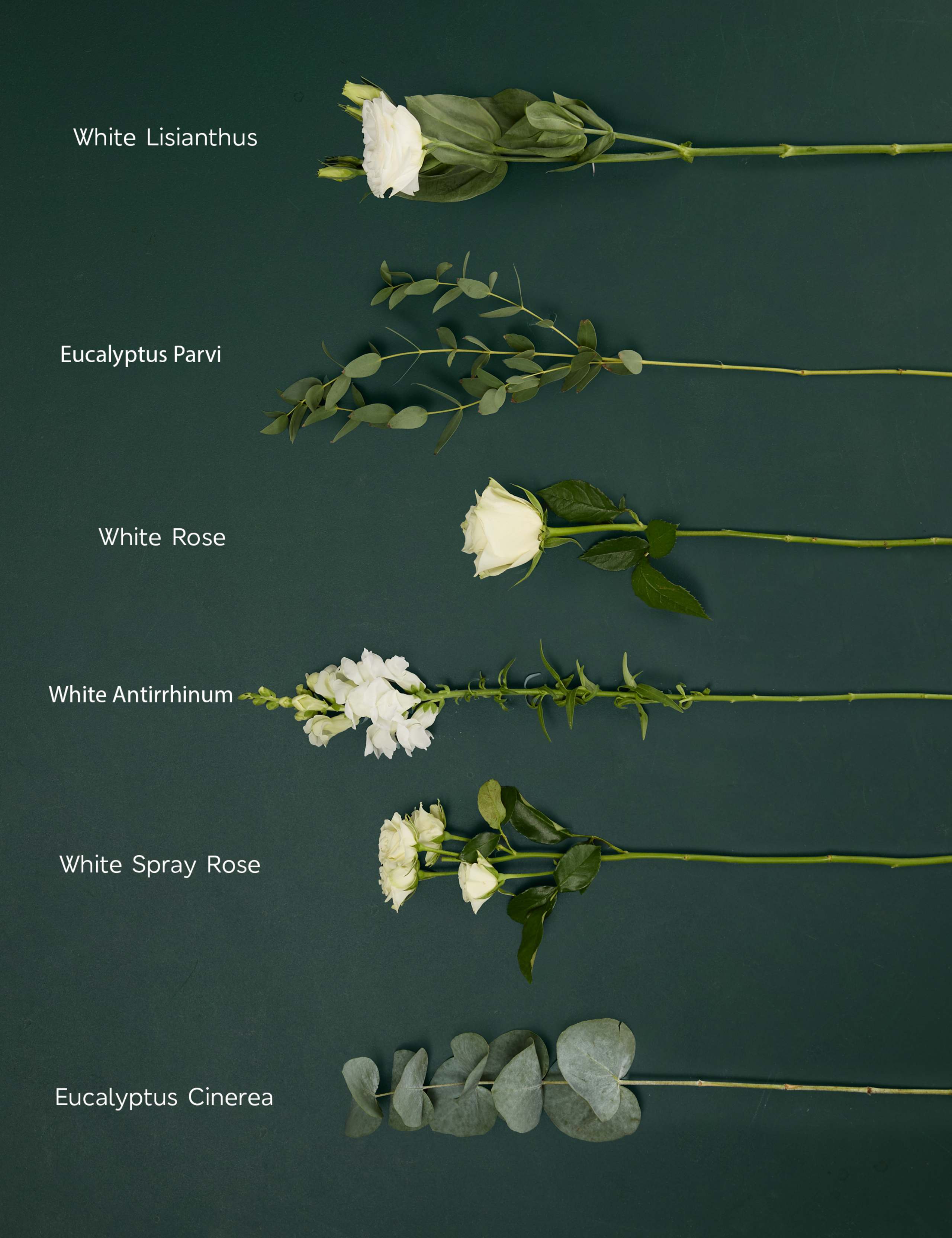 Thinking Of You Posy with Vase 6 of 8