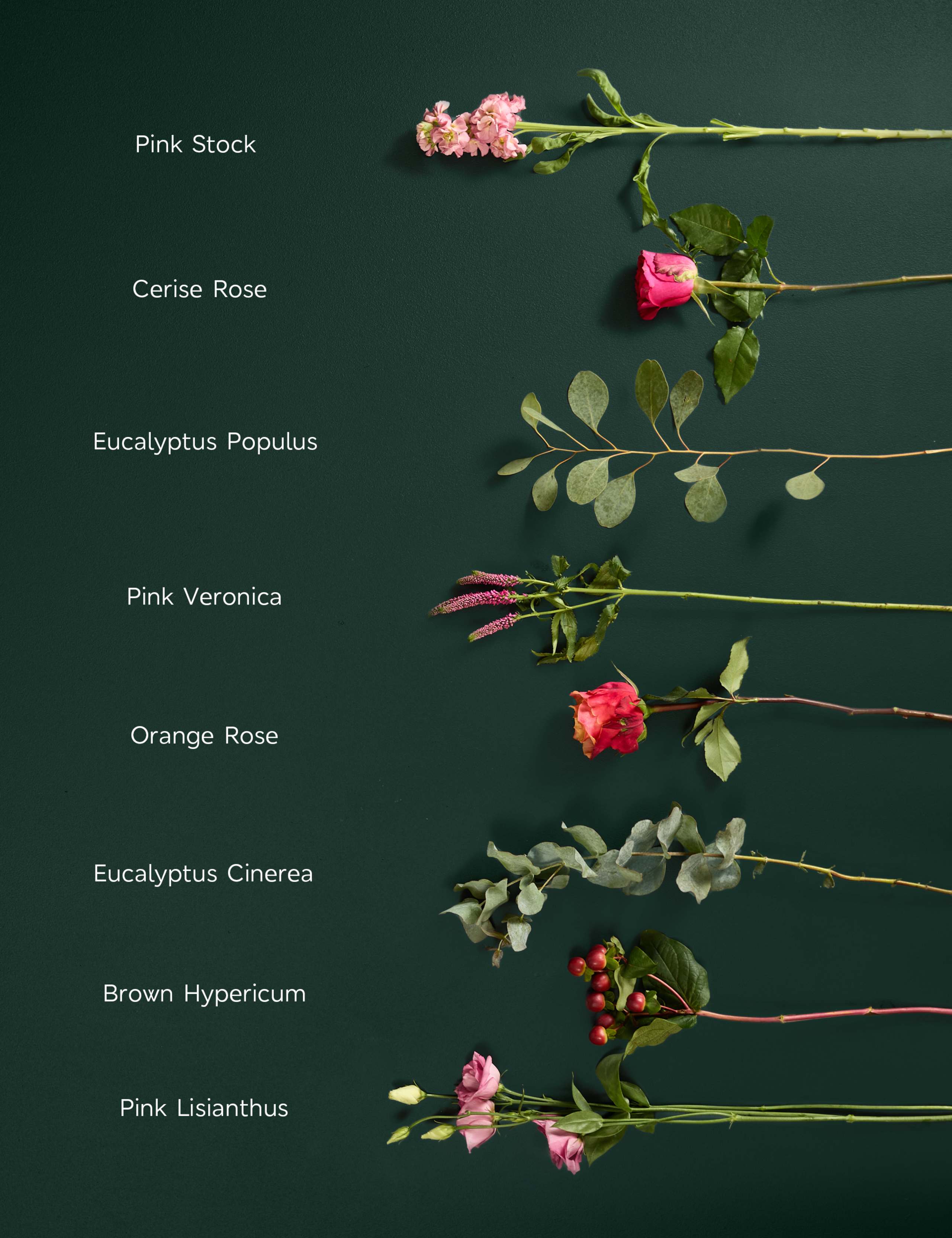 Roses, Stocks & Lisianthus Bouquet 4 of 7