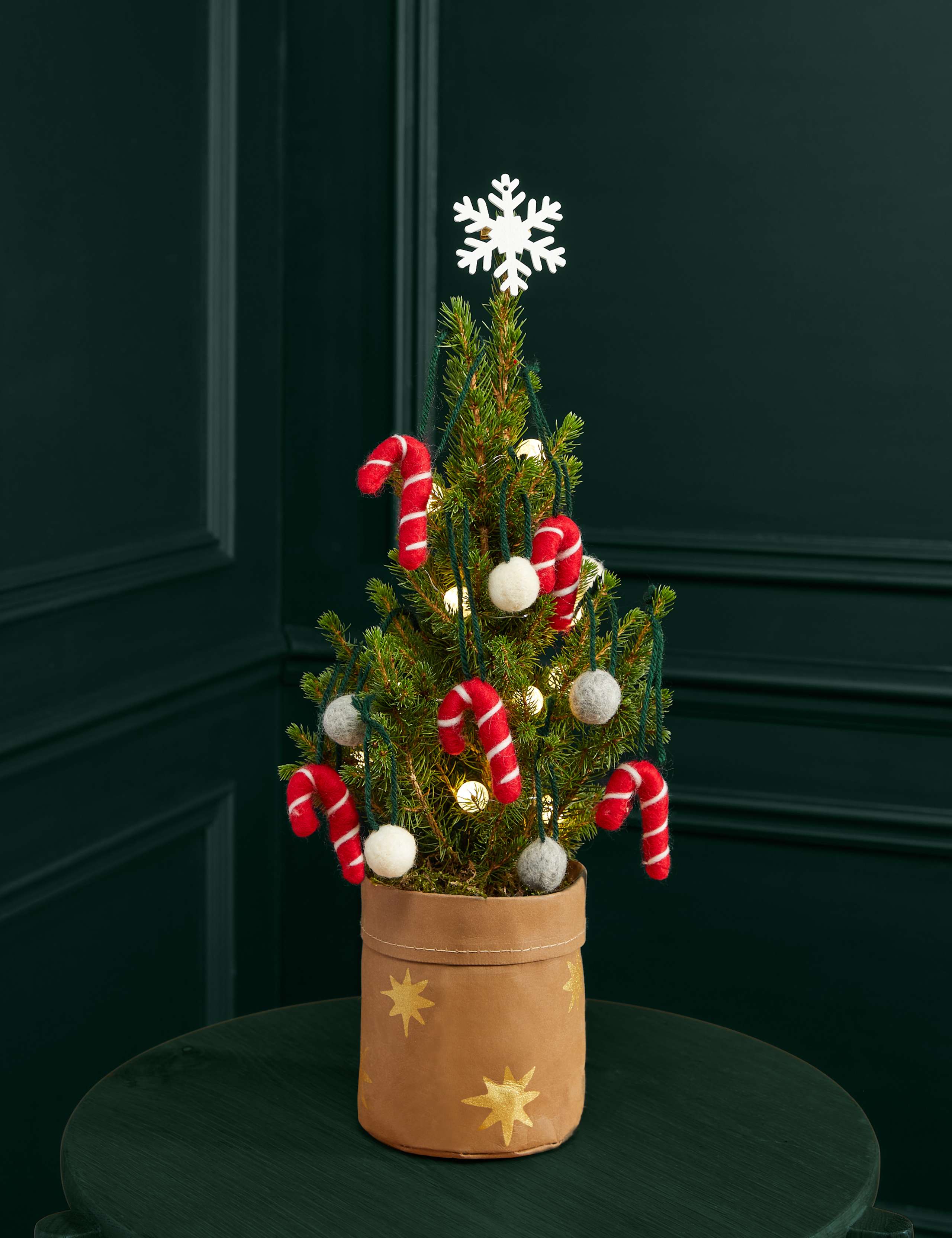 Candy Cane Letterbox Tree 1 of 4