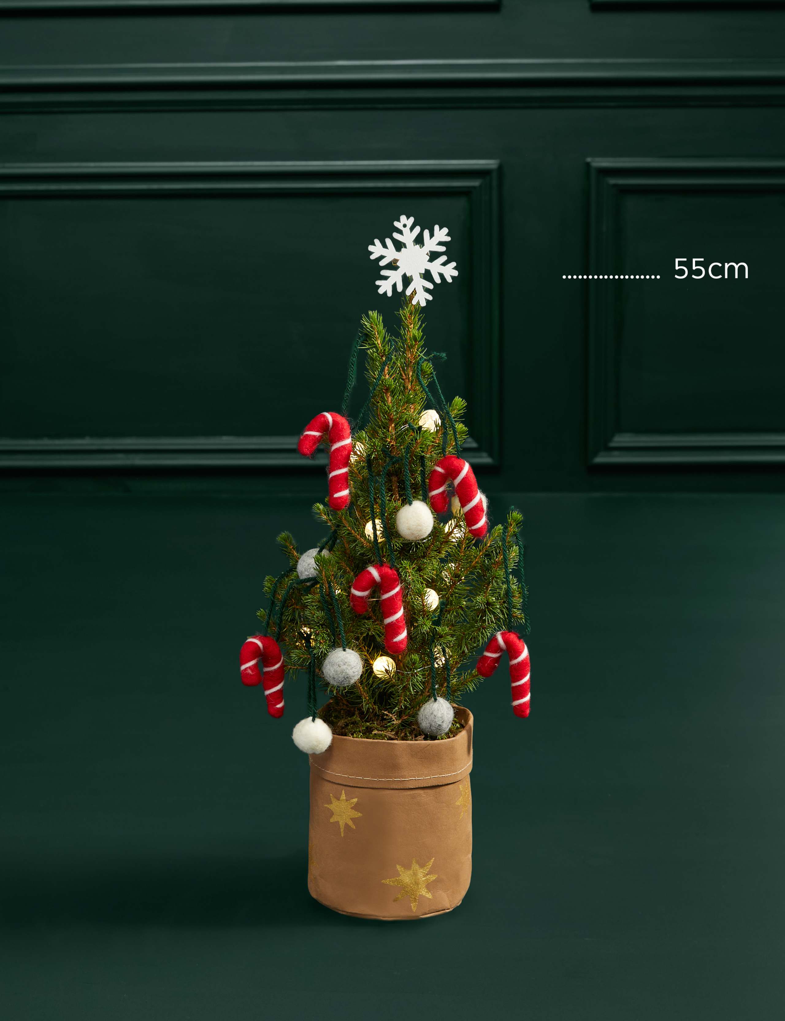 Candy Cane Letterbox Tree 4 of 4