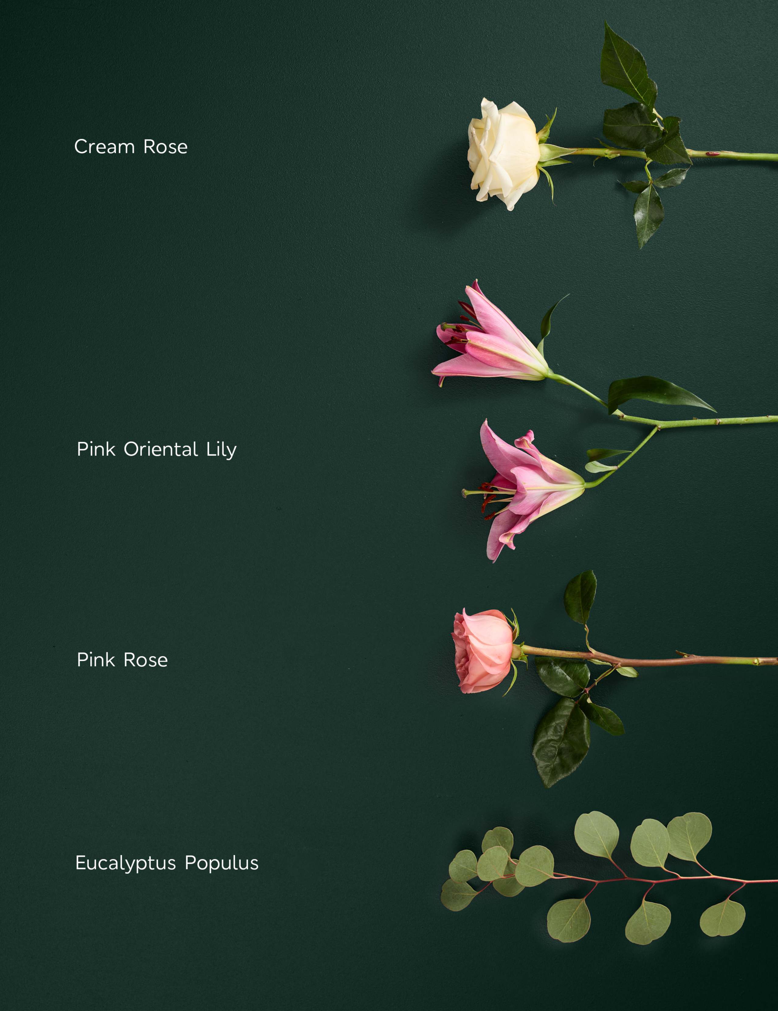 Rose Lily & Eucalyptus Bouquet 4 of 8