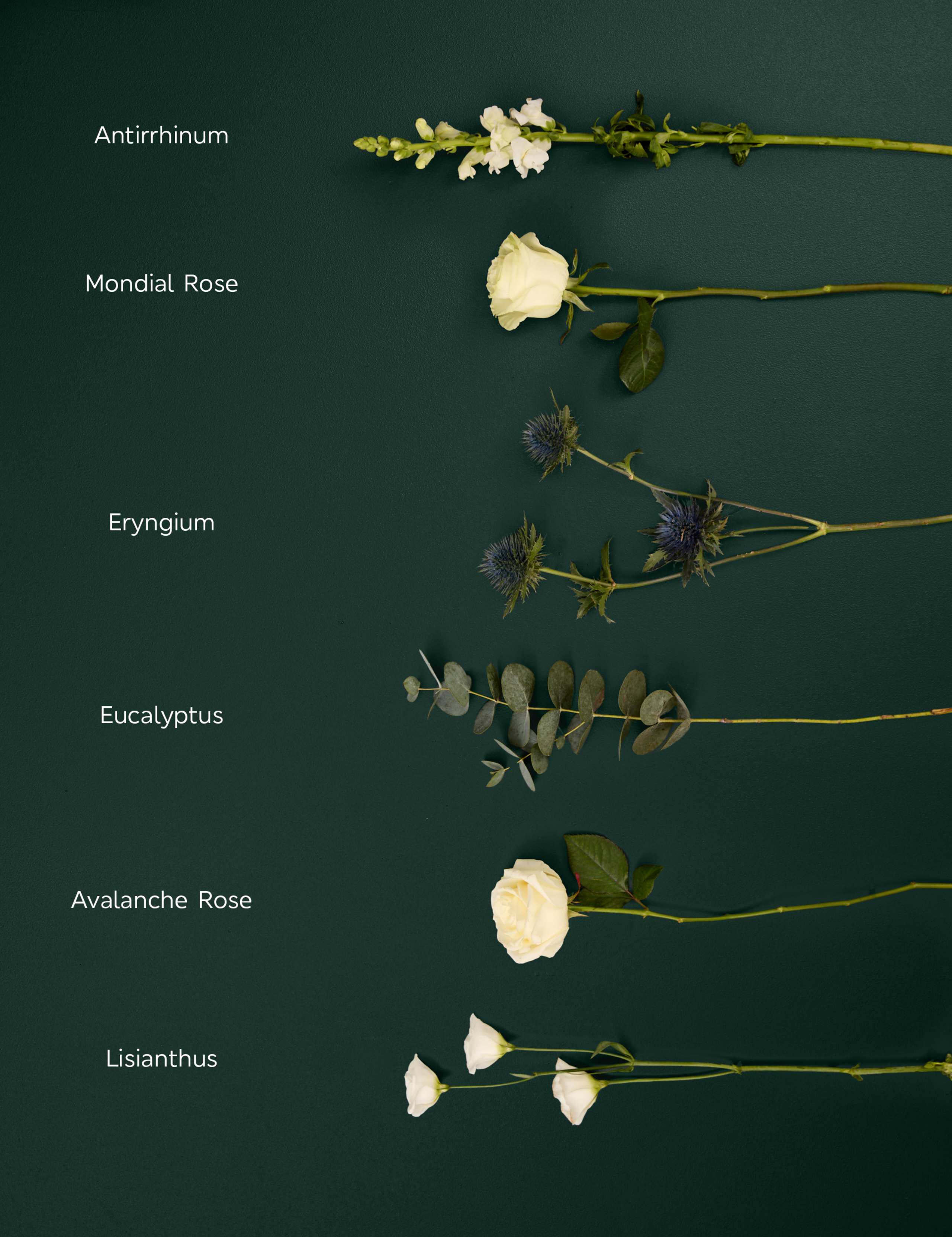 White Rose, Antirrhinum & Lisianthus Bouquet 4 of 7