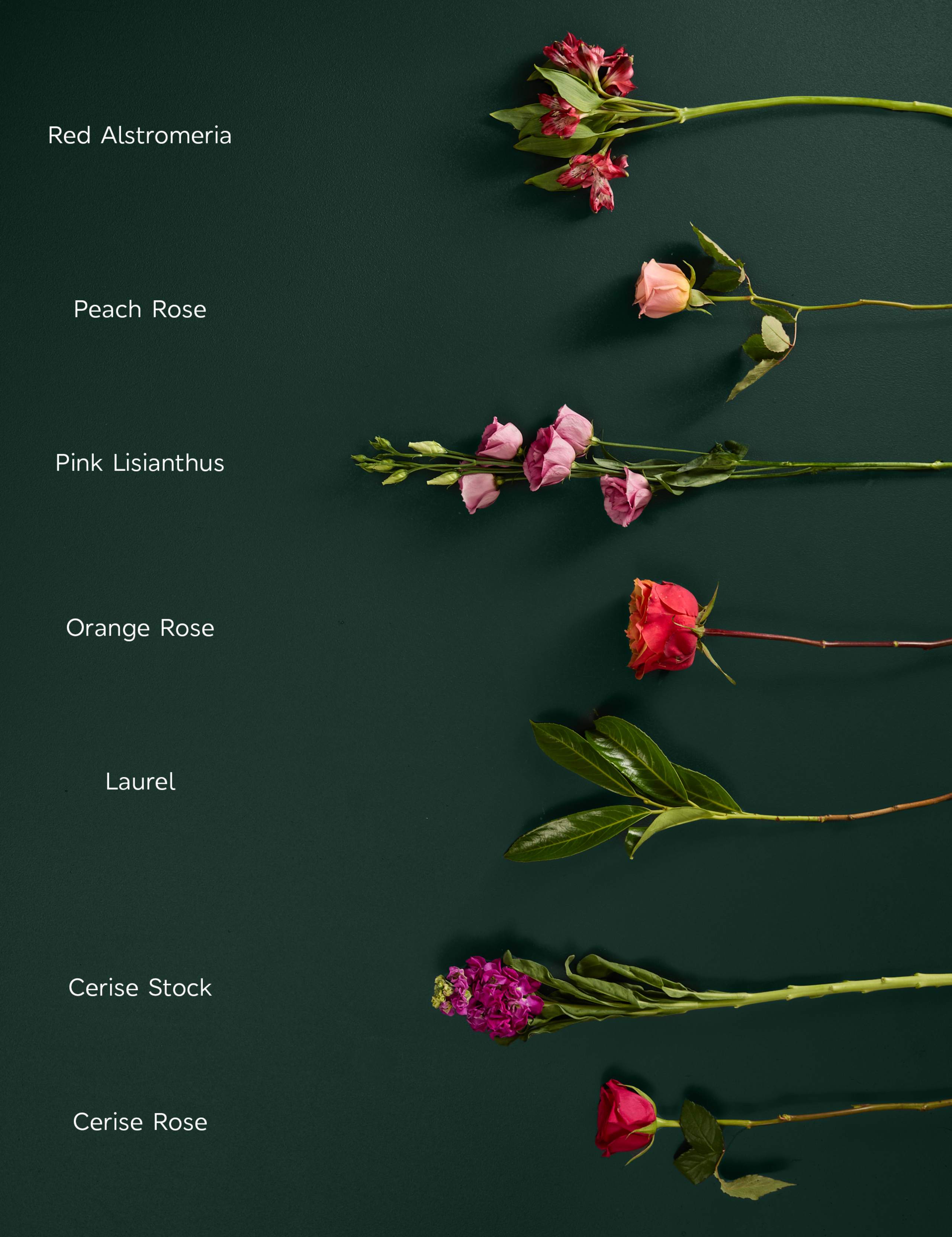 Roses, Lisianthus & Antirrhinum Bright Bouquet with Chocolates & Champagne 6 of 8