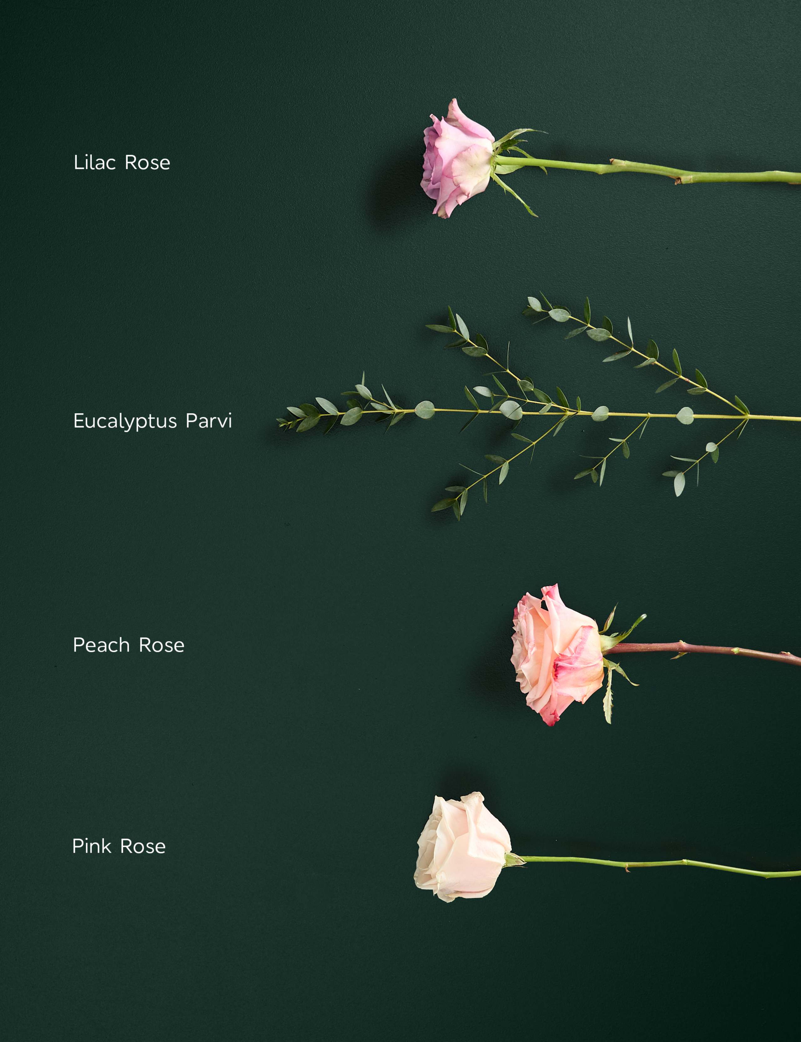 Mother's Day Peach Rose & Eucalyptus Bouquet 4 of 7