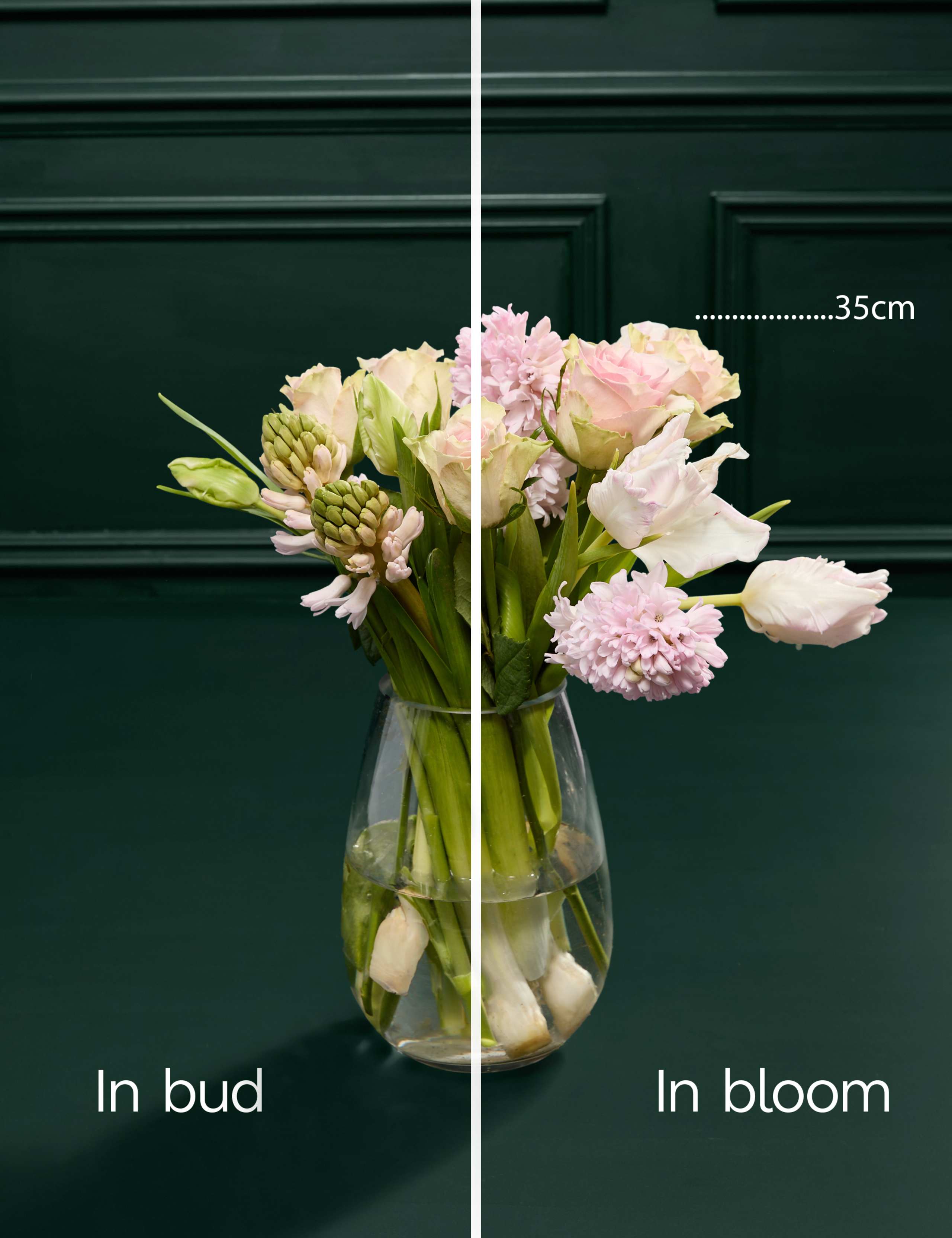 Mother's Day Rose, Hyacinth & Tulip Bouquet 4 of 6