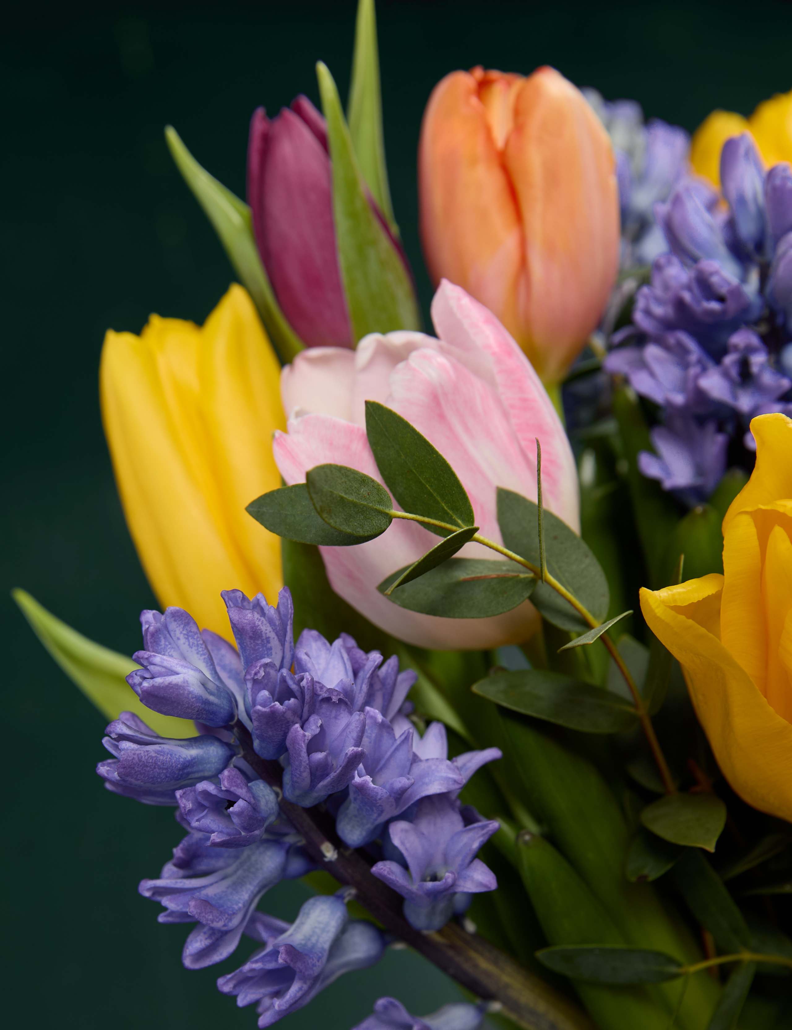 Mother's Day Hyacinth & Tulip Posy with Truffle Chocolates 3 of 8