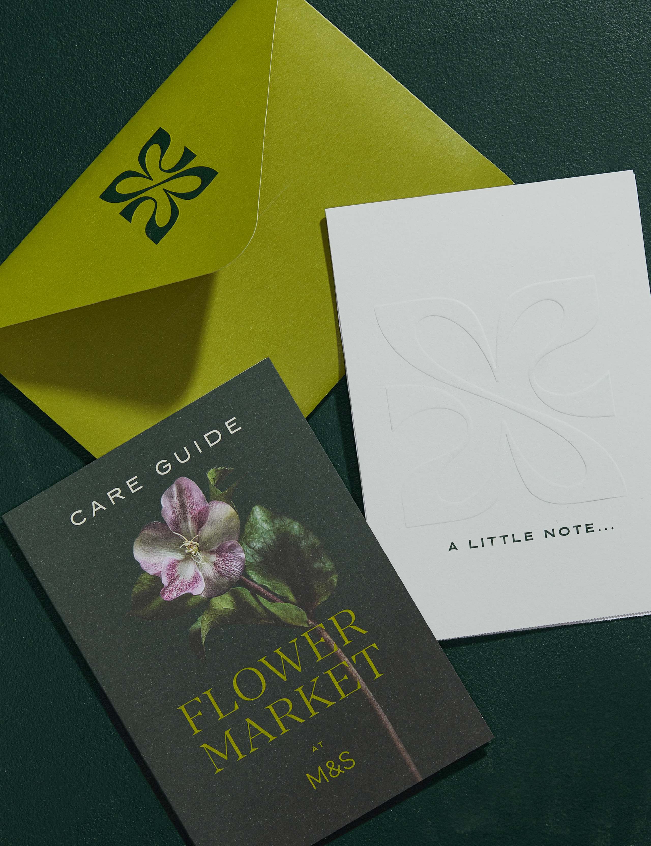 Mother's Day Hyacinth & Tulip Posy with Truffle Chocolates 8 of 8