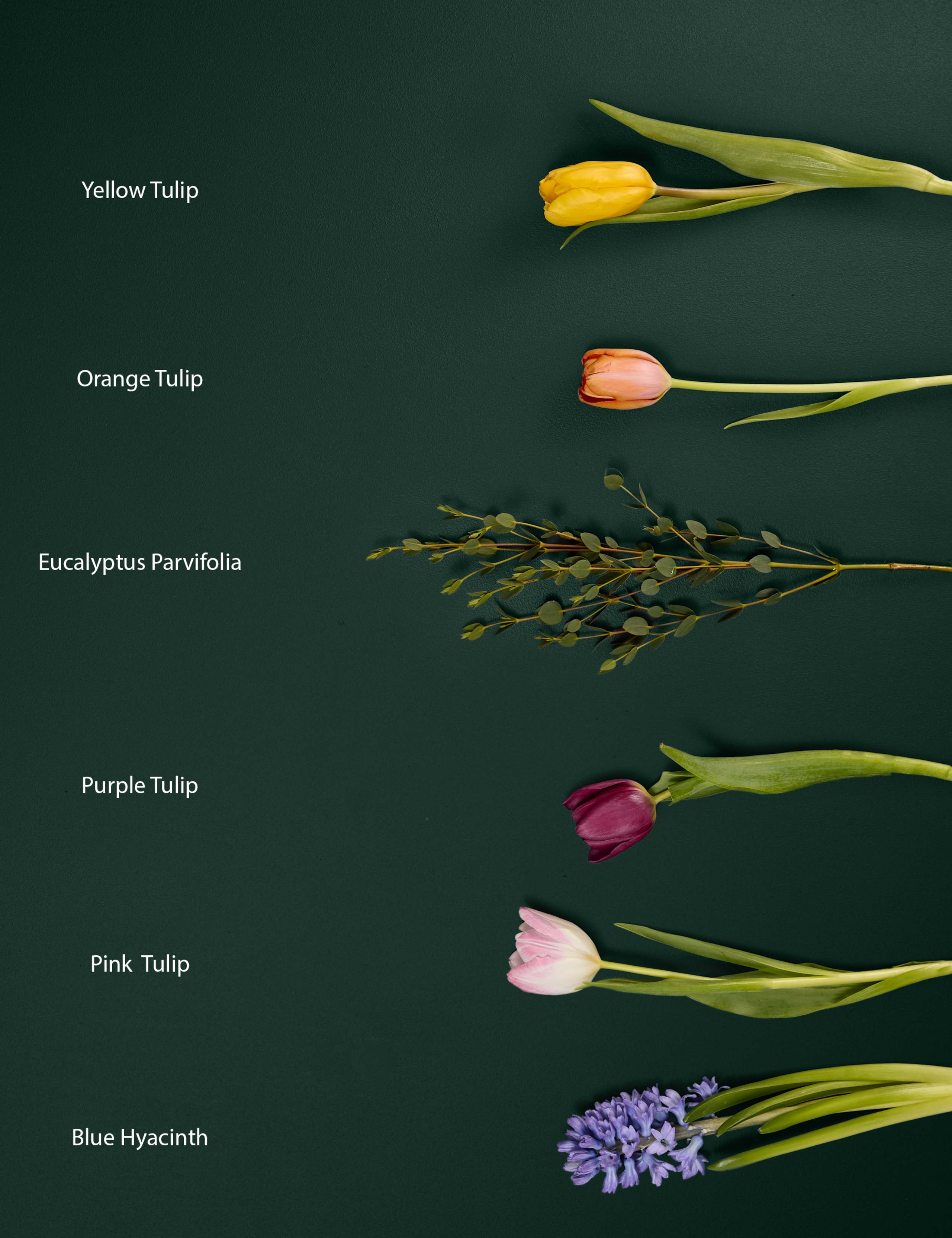 Hyacinth & Tulip Bouquet with Marc De Champagne Truffles 6 of 8