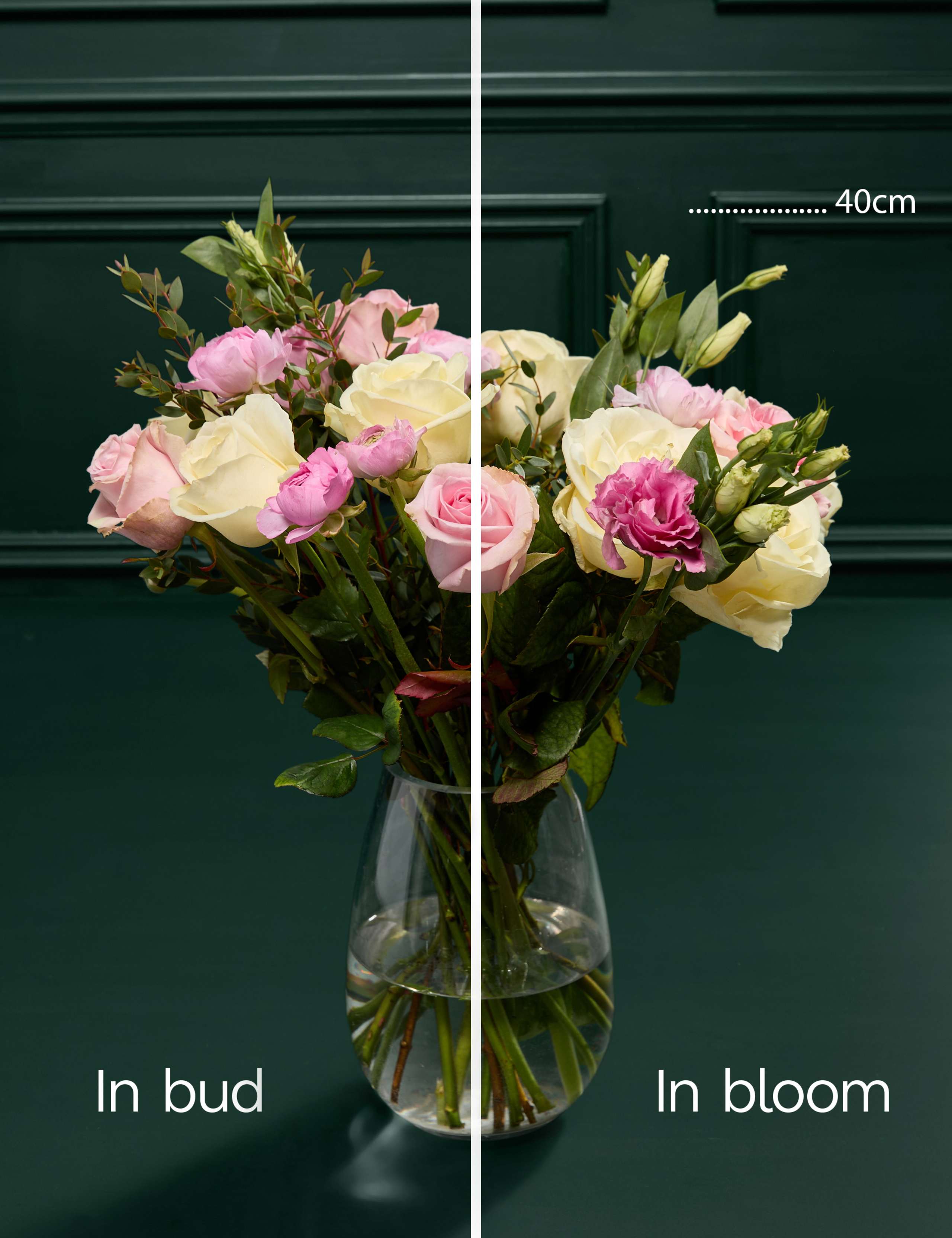 Mother's Day Roses Ranunculus & Lisianthus Bouquet 4 of 7
