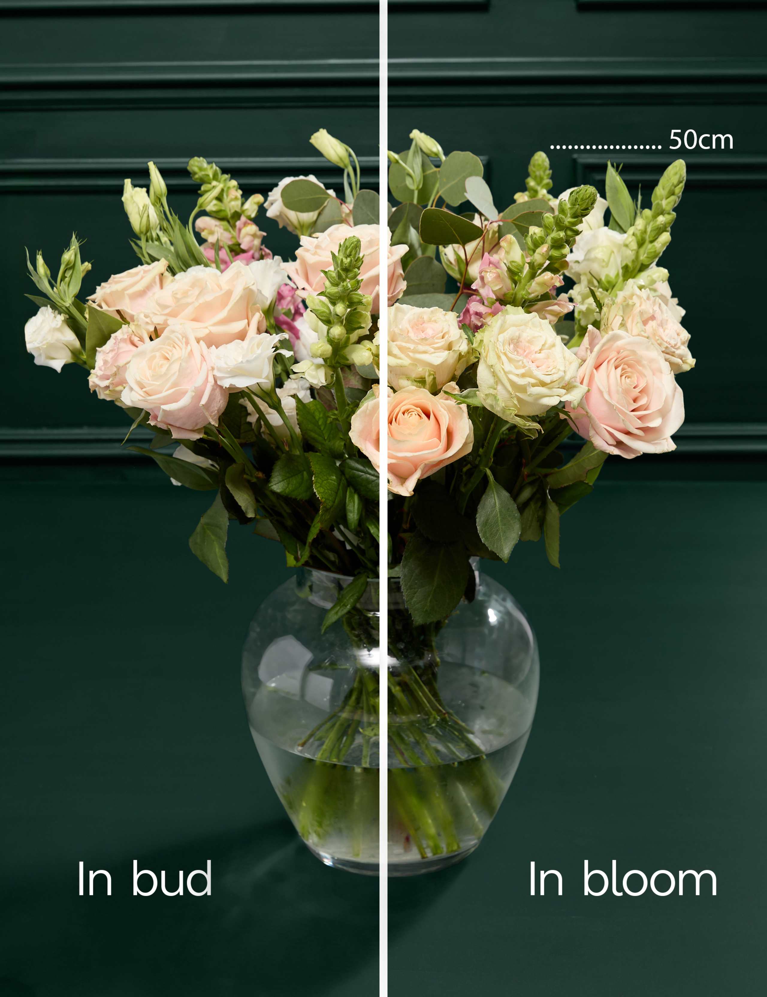 Mother's Day Roses & Antirrhinum Bouquet 6 of 9