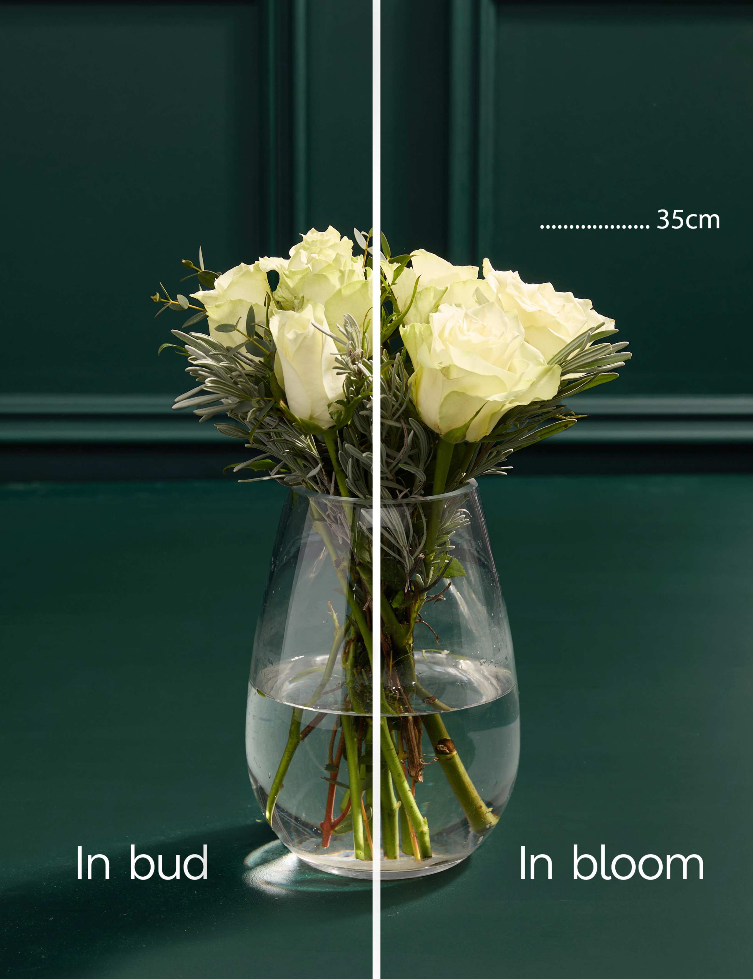 Mother's Day Calming Bouquet in Vase with Candle & Diffuser 5 of 9