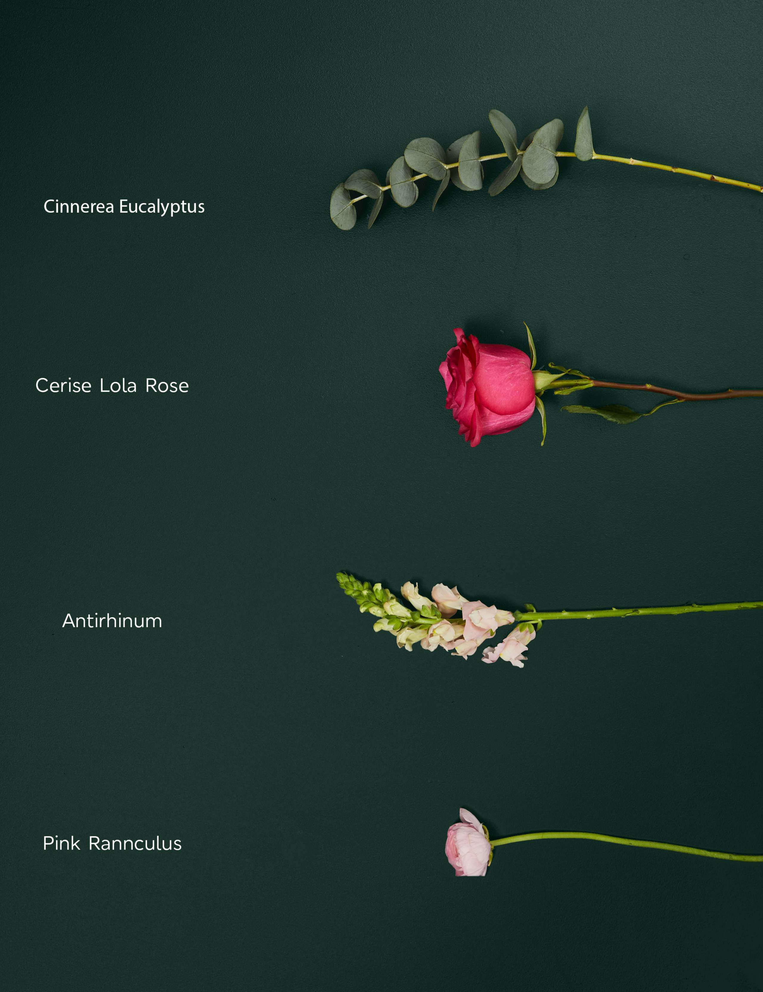 Large Rose, Antirrhinums & Ranunculus Bouquet 4 of 7