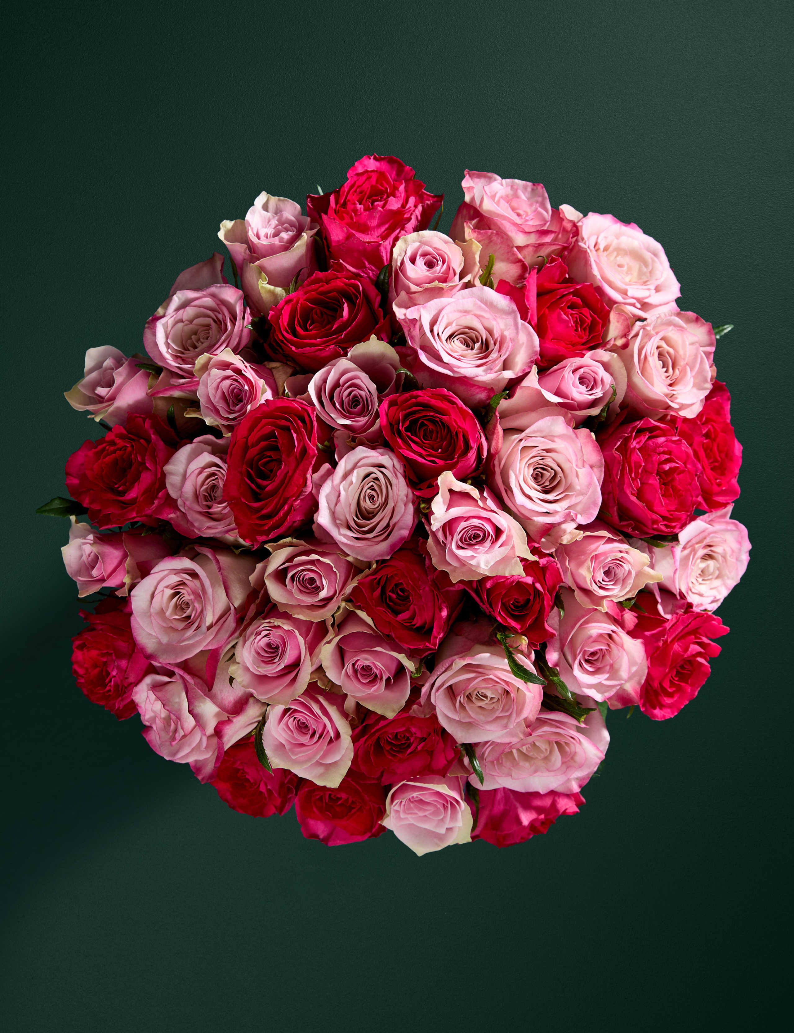 Large Vibrant Pink Mixed Rose Bouquet 3 of 8