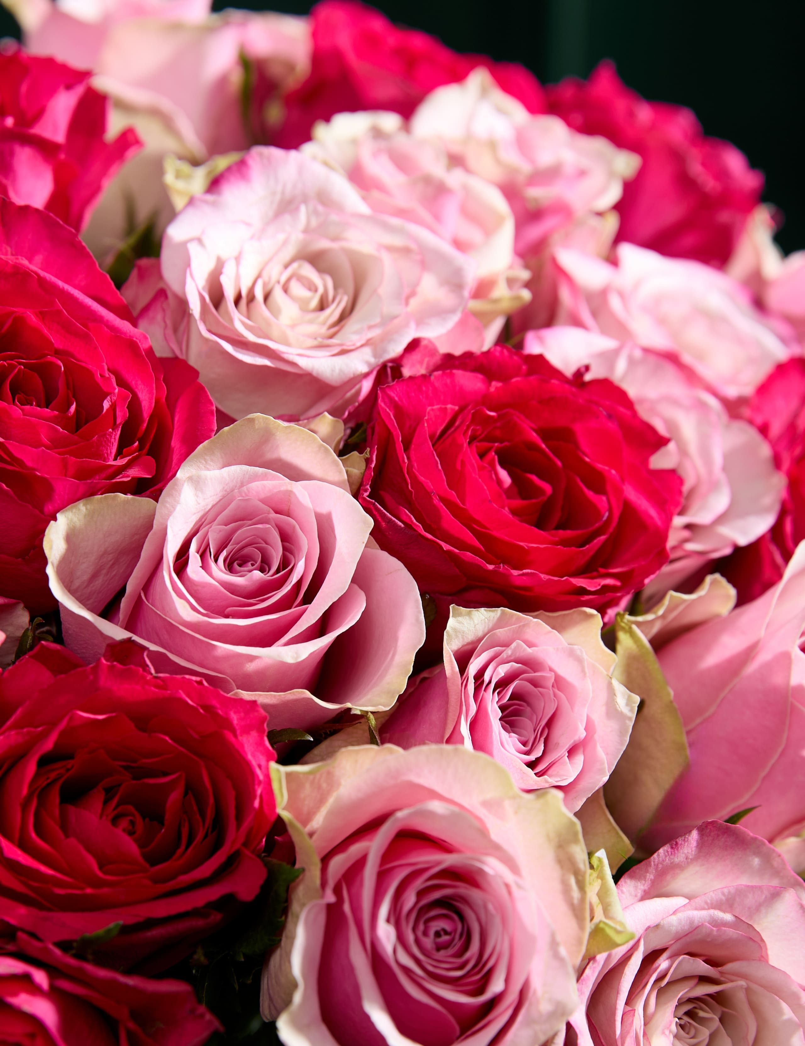 Large Vibrant Pink Mixed Rose Bouquet 4 of 8